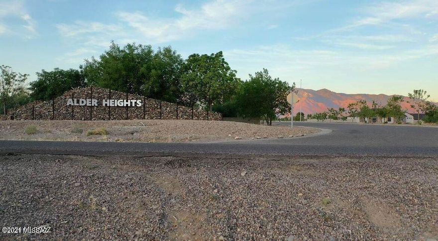1+ Acre Building Lots in New Subdivision with Beautiful Views! It's a special treat to enjoy the quiet and picturesque view of Mount Graham. Create your dream home with the builder of your choice in this fantastic planned community. The tree lined streets boast large lots and are serviced with underground utilities. Seller may consider owner financing at their discretion based on Buyer's qualifications. Seller to transfer title by Special Warranty Deed. With current interest rates and a wide range of available lots, don't delay! BUILD YOUR DREAM HOME TODAY!