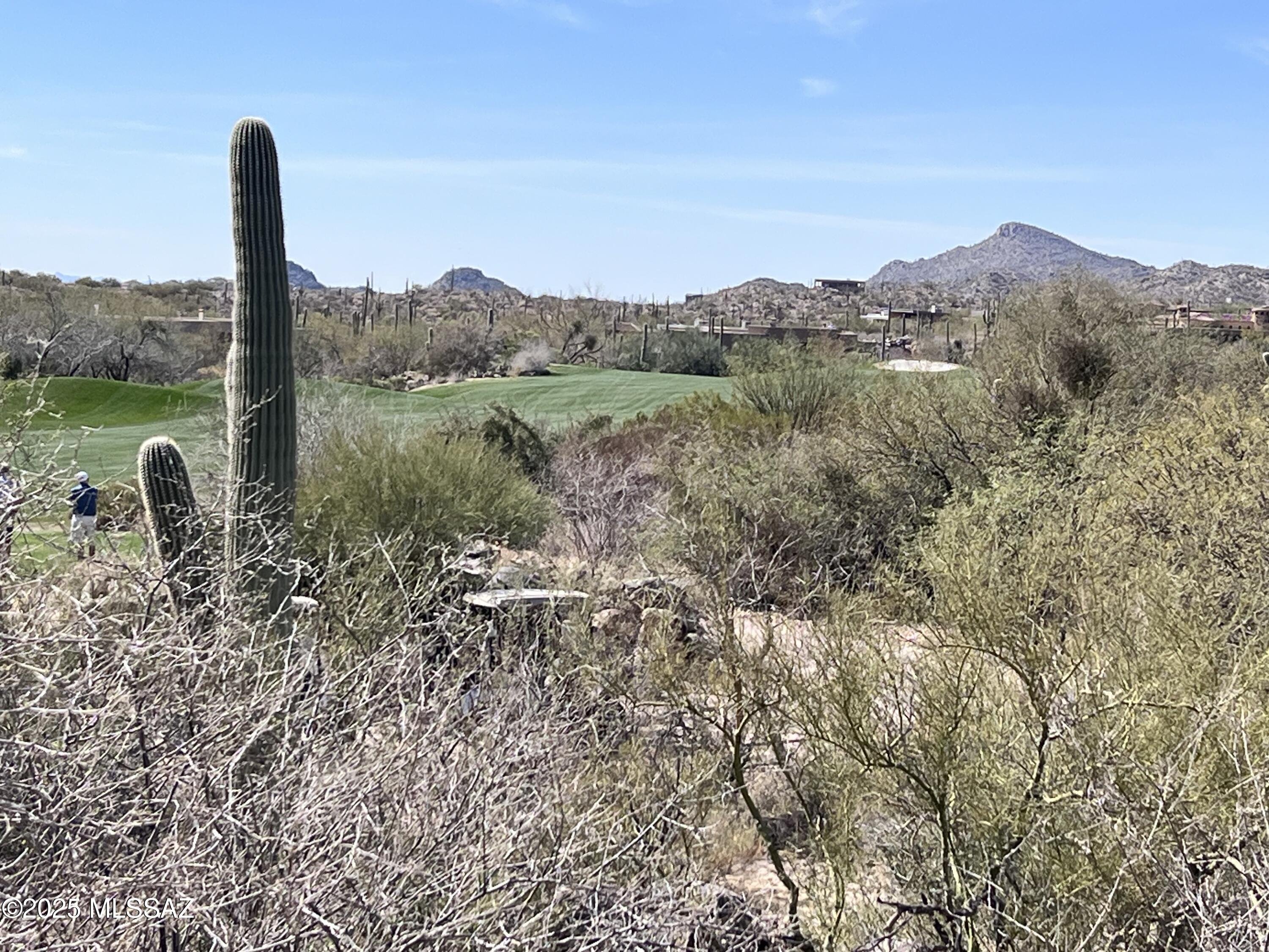 14521 N Rocky Highlands Drive 215