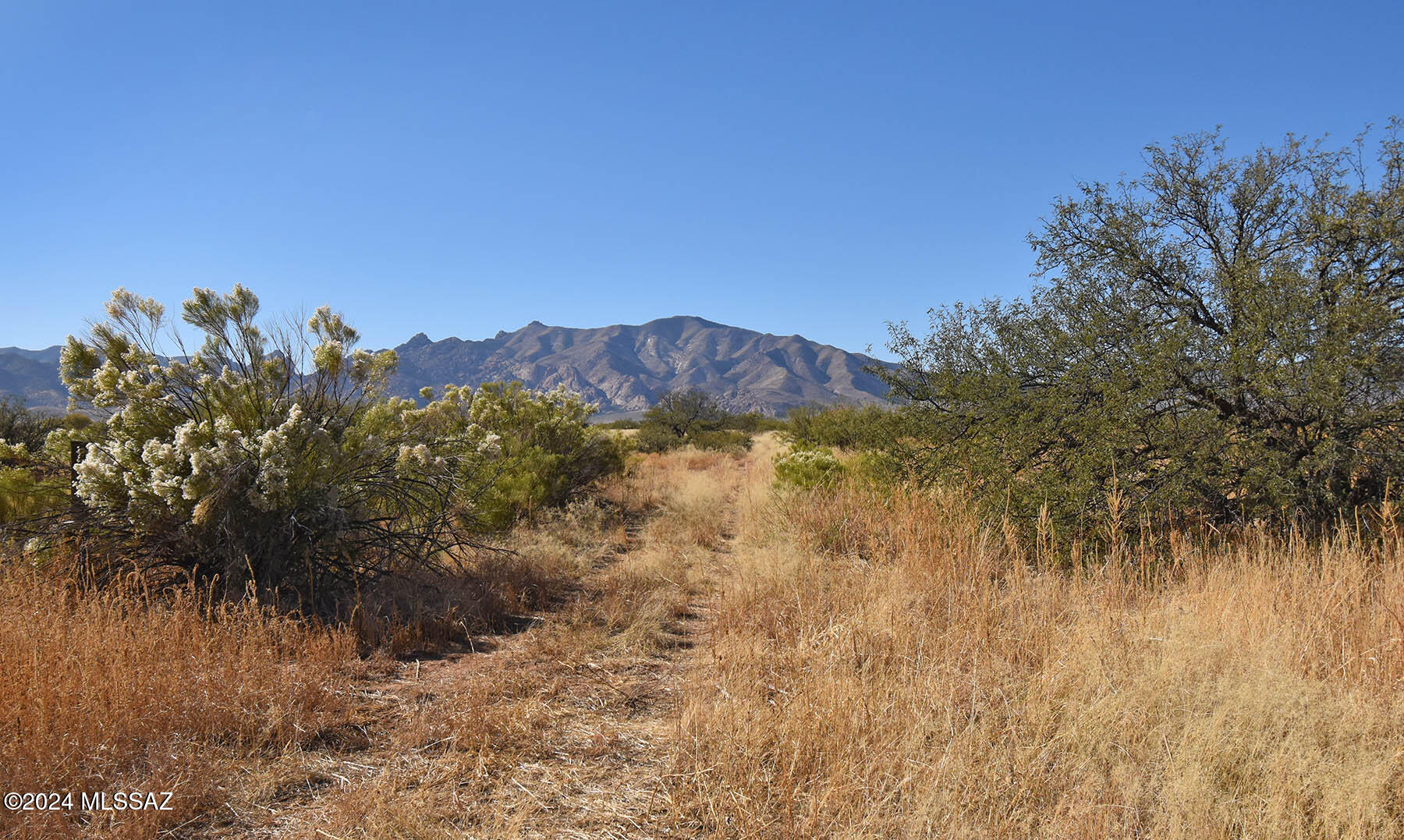 Arizona Sun Sites - Land