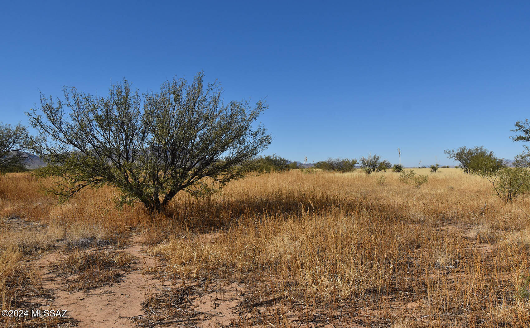 Arizona Sun Sites - Land