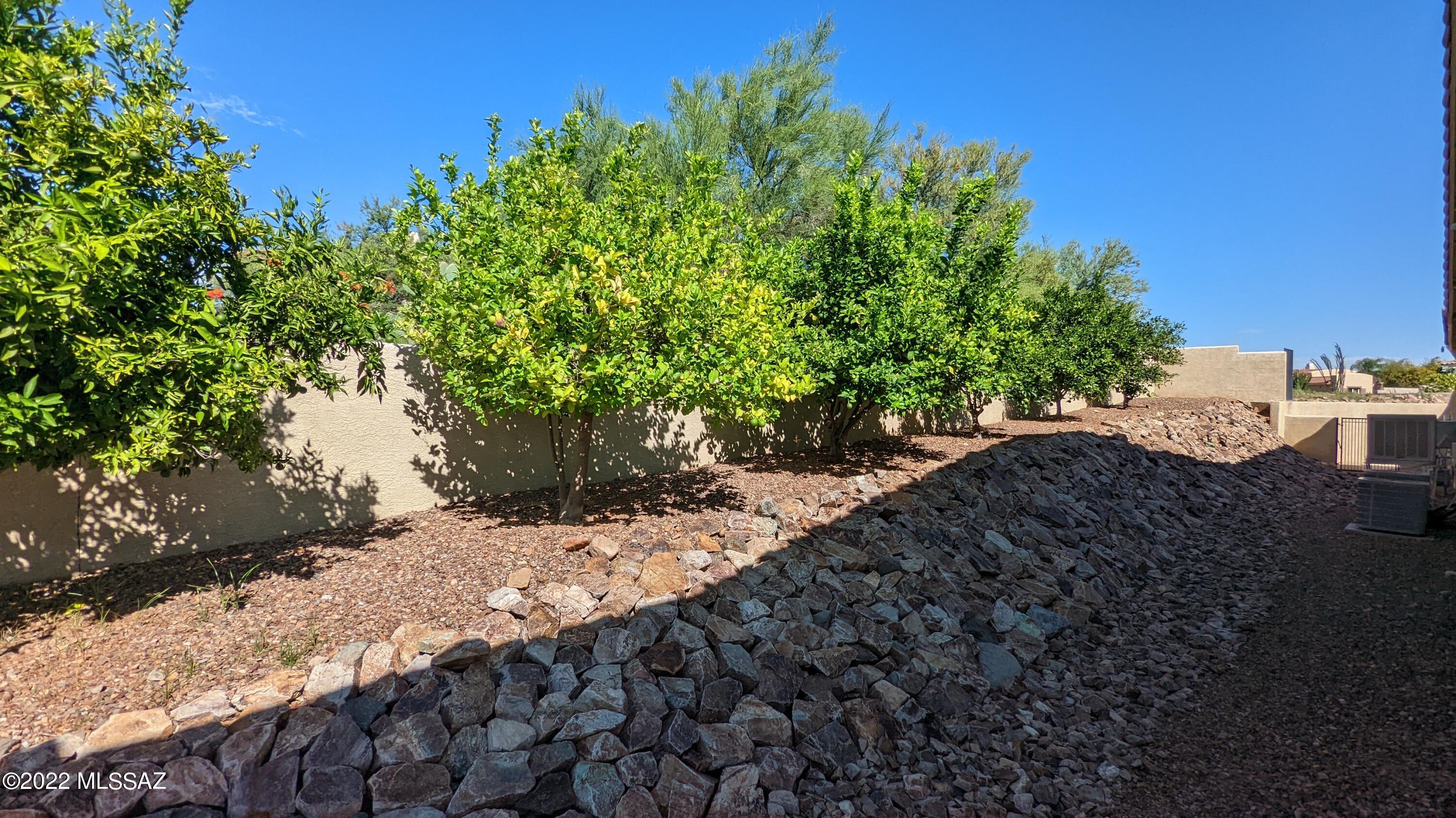 Vistoso Ridge - Residential Lease