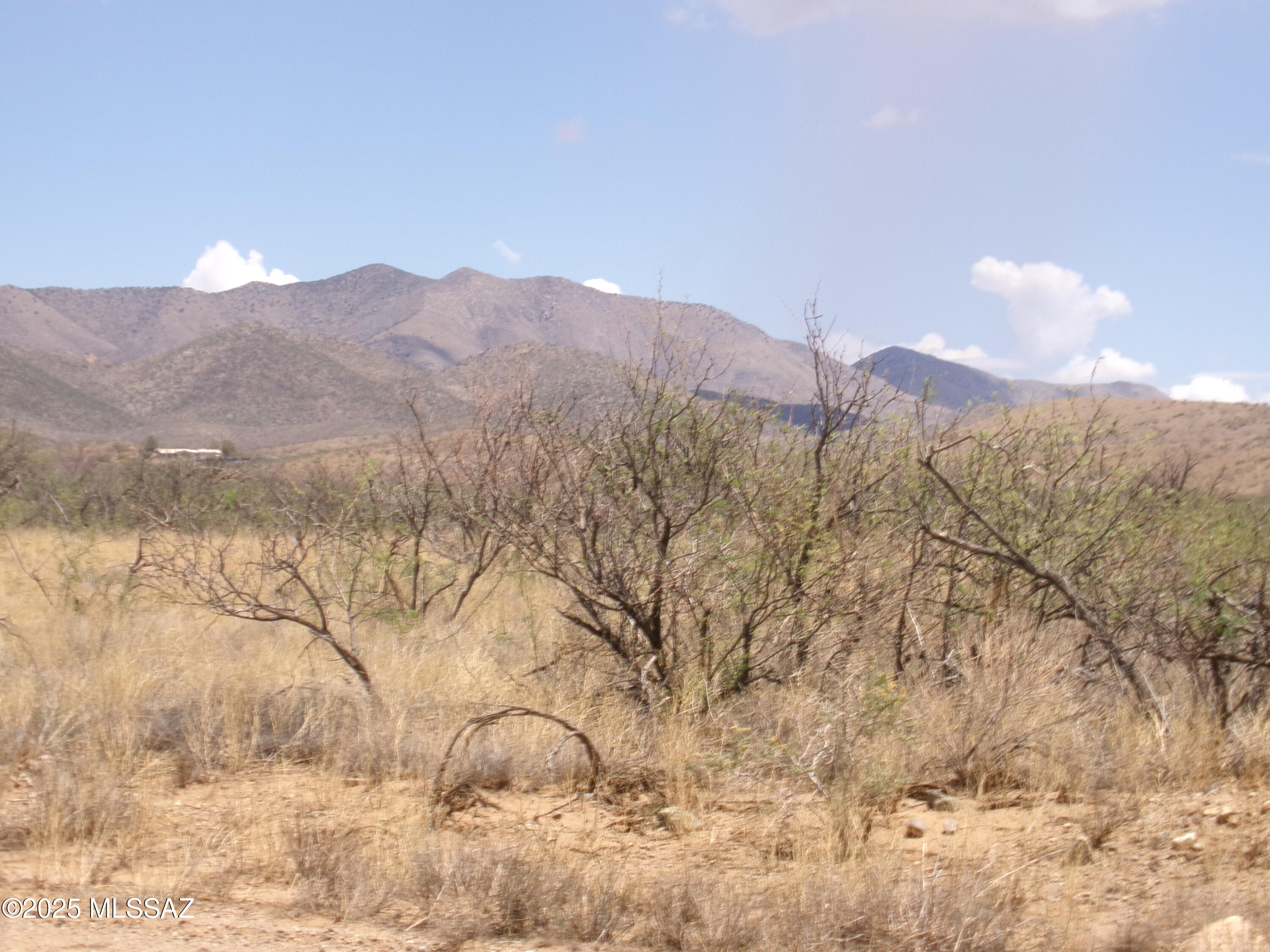 Chiracahua Trail Ranches - Land
