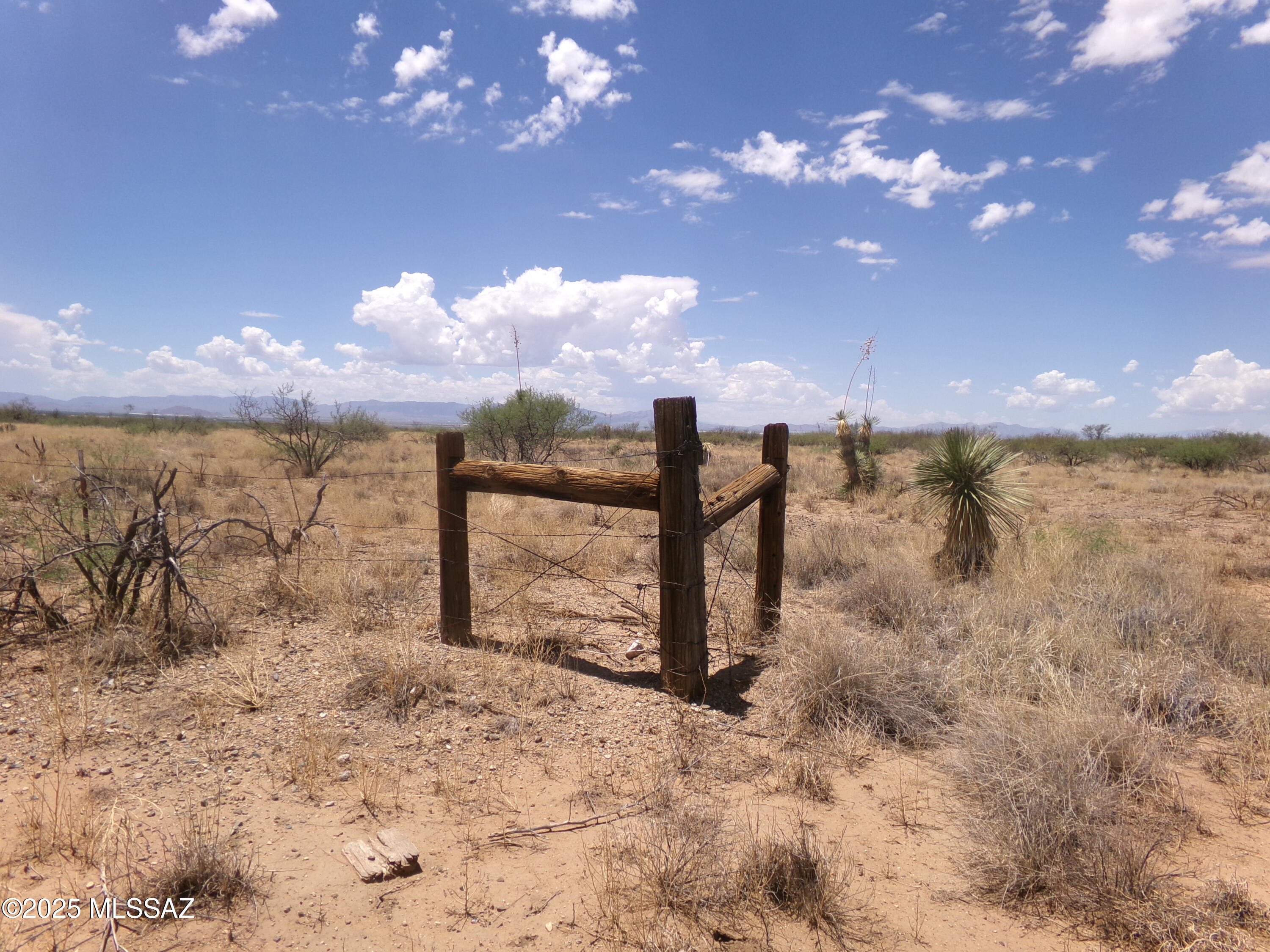 Chiracahua Trail Ranches - Land