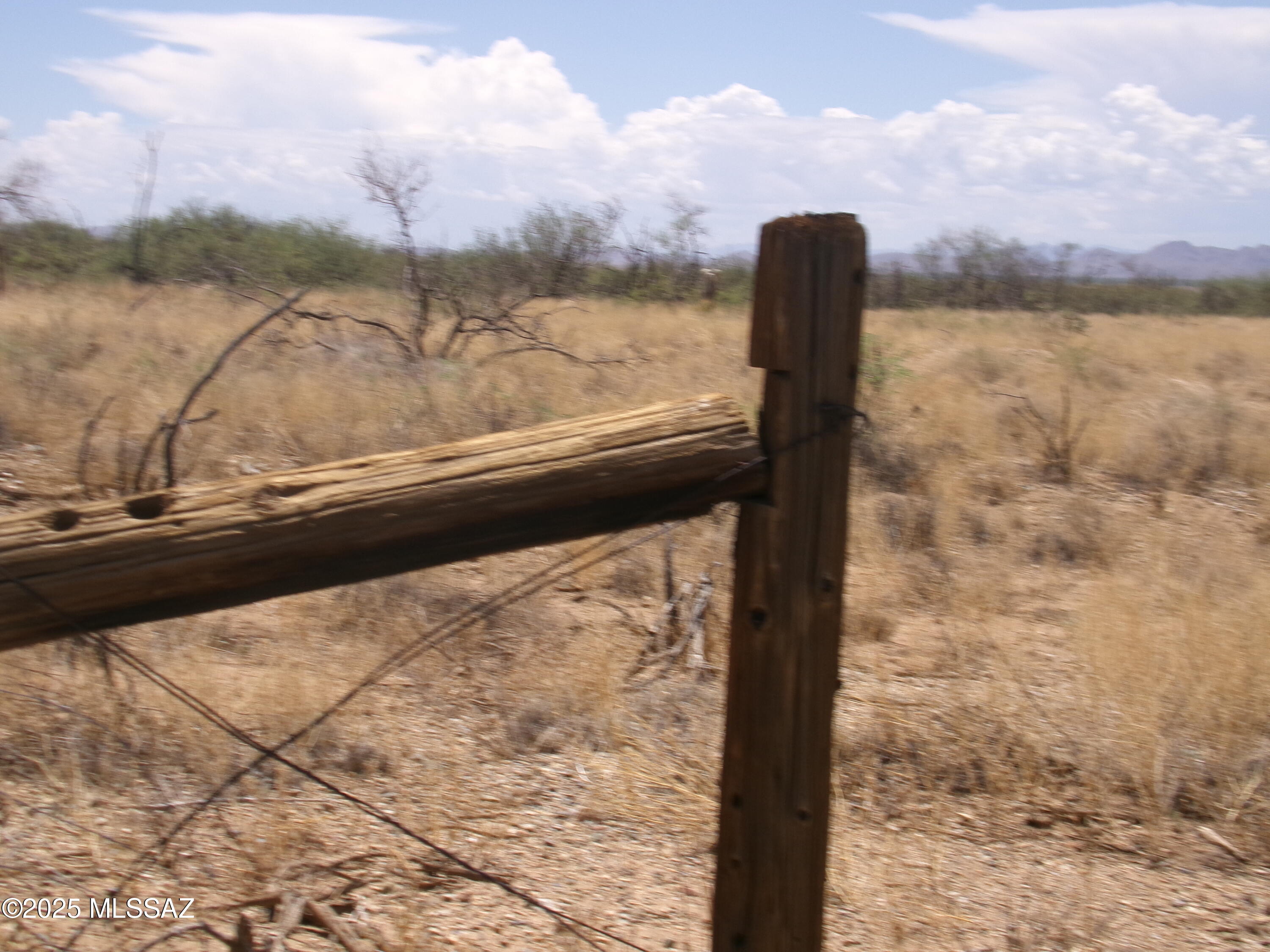 Chiracahua Trail Ranches - Land