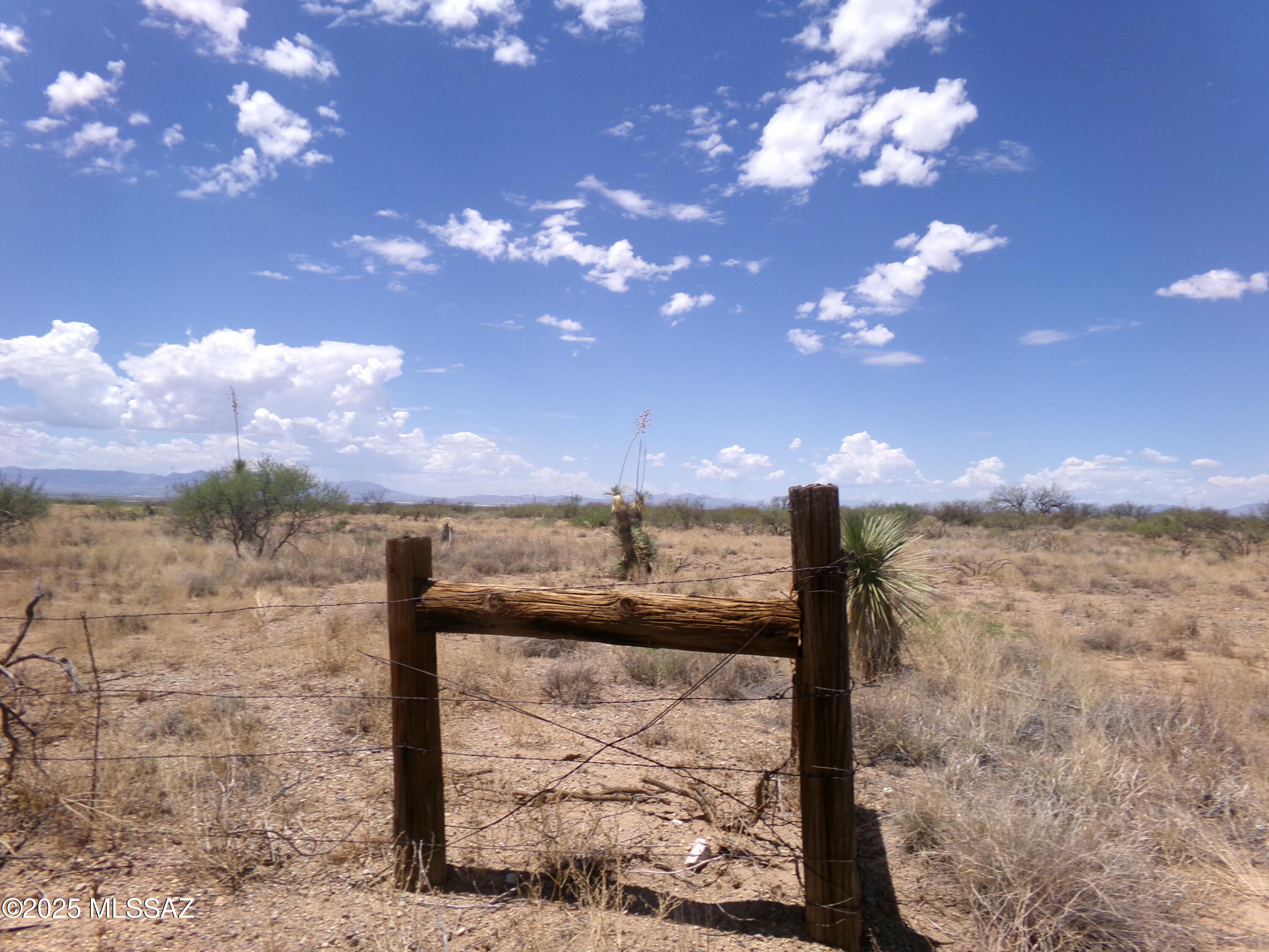 Chiracahua Trail Ranches - Land