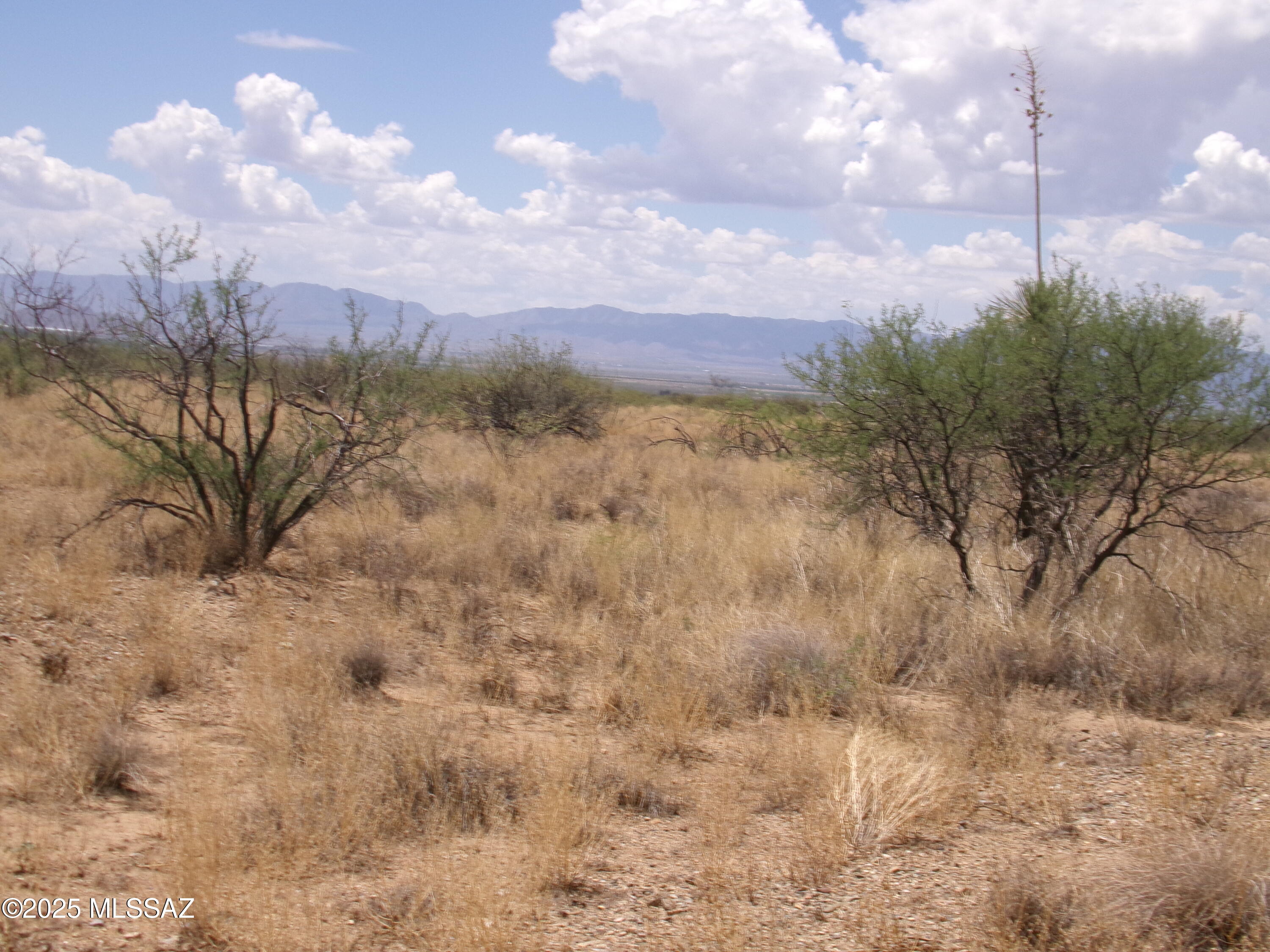 Chiracahua Trail Ranches - Land