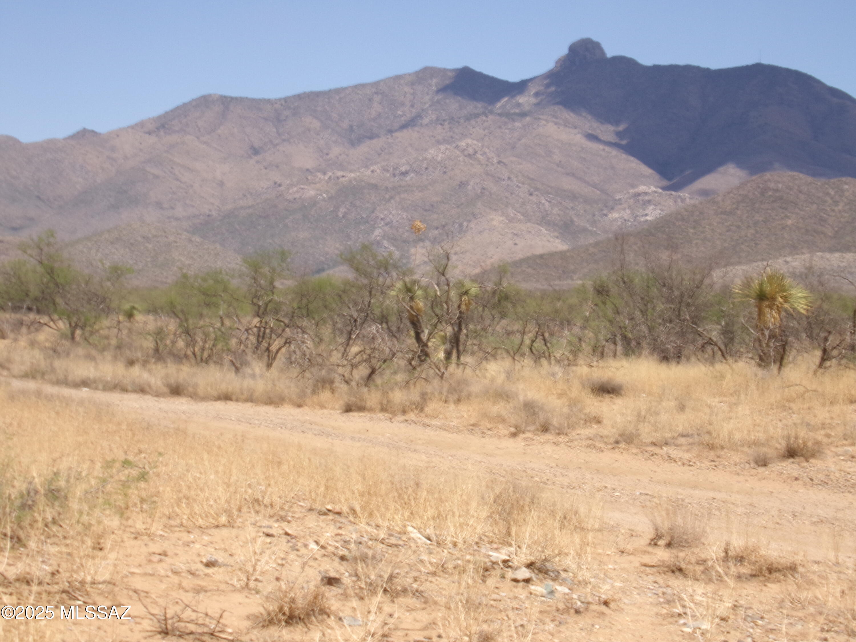 Chiracahua Trail Ranches - Land