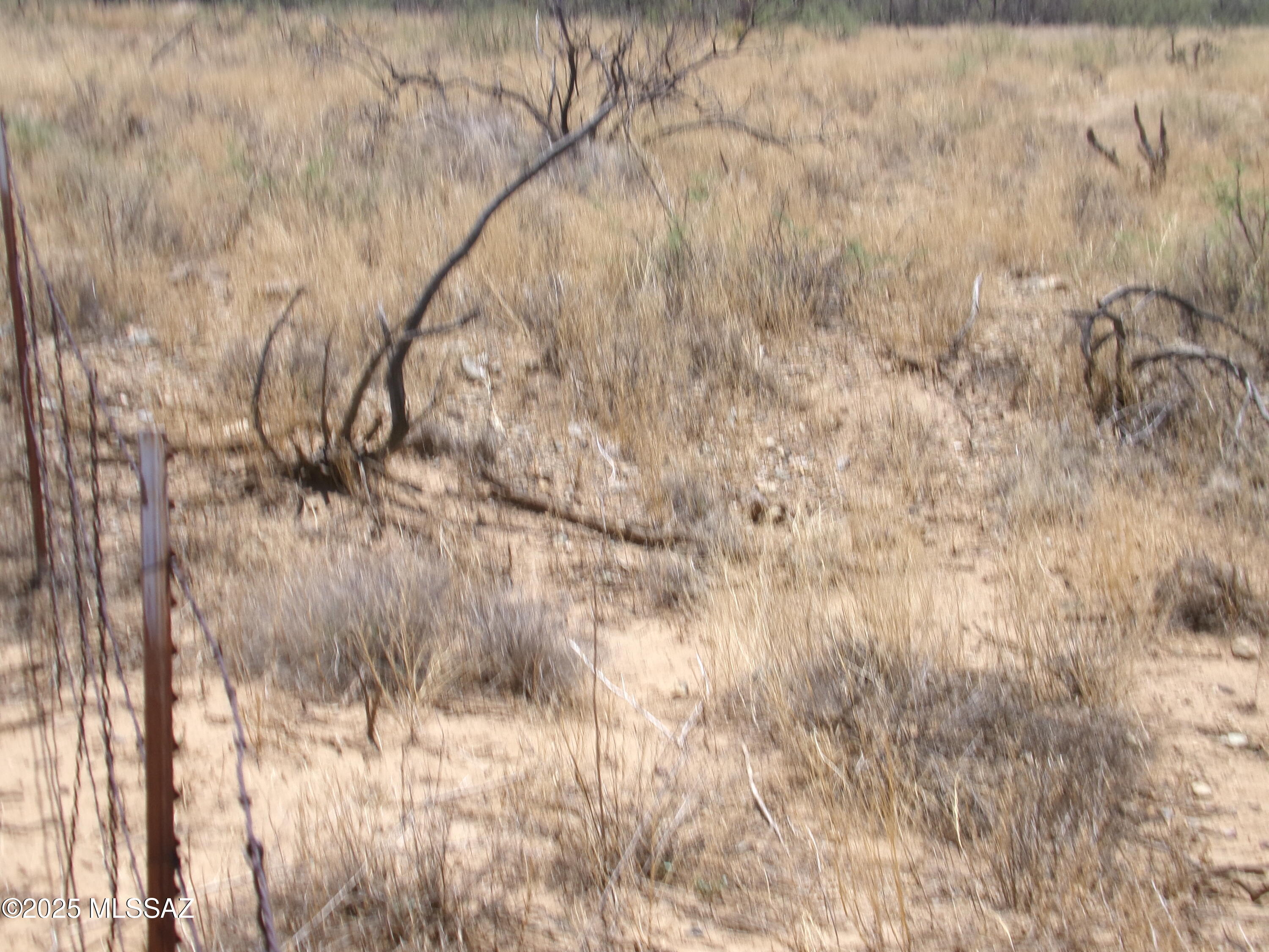 Chiracahua Trail Ranches - Land