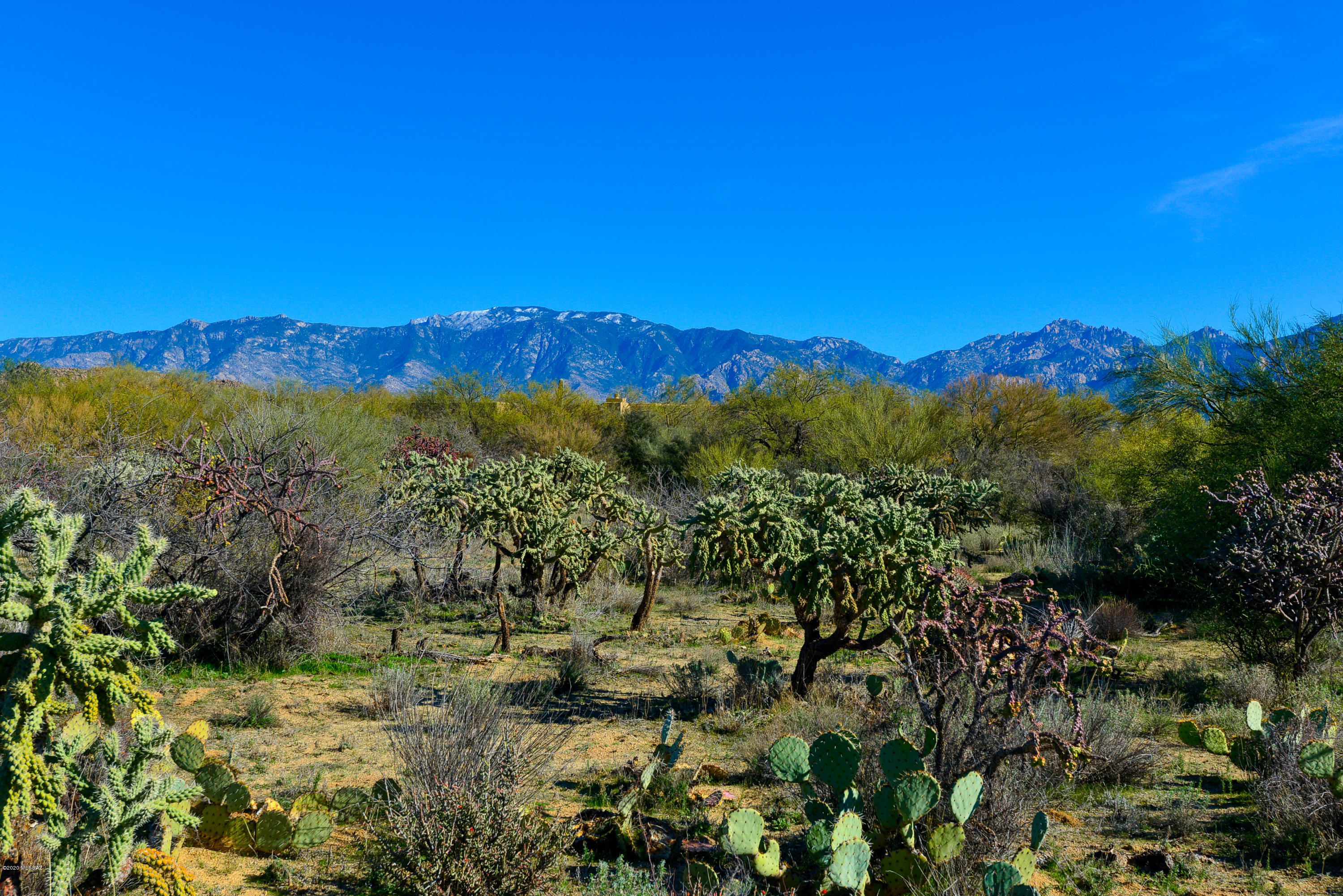 Stone Canyon I - Land