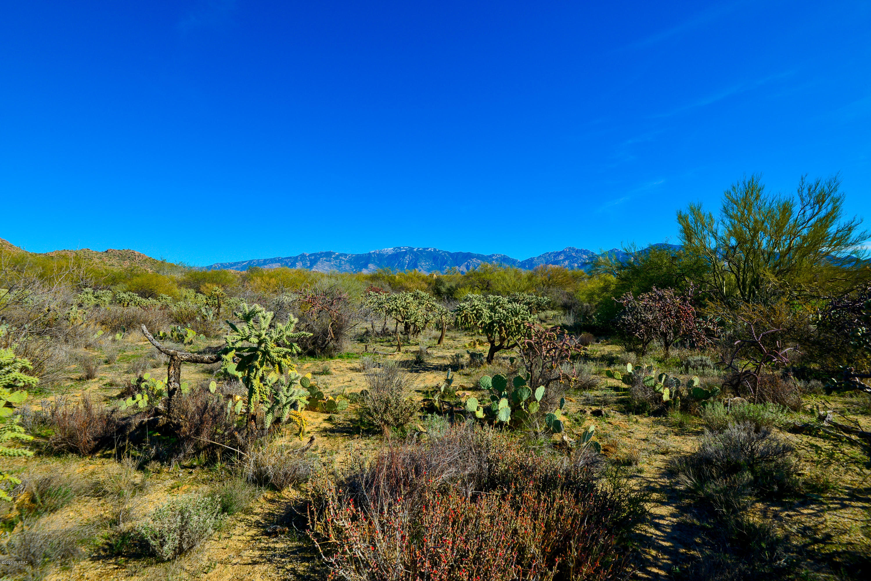 Stone Canyon I - Land