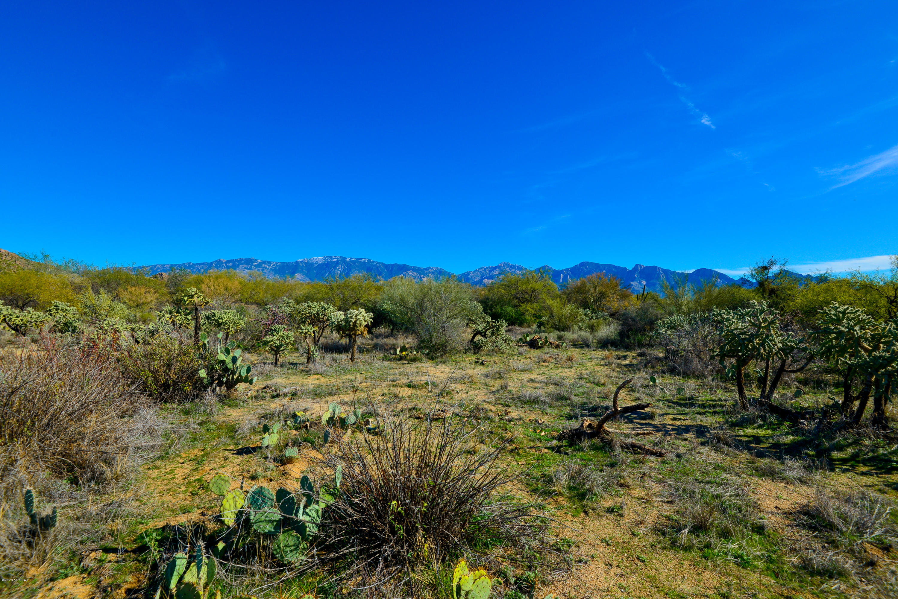 Stone Canyon I - Land