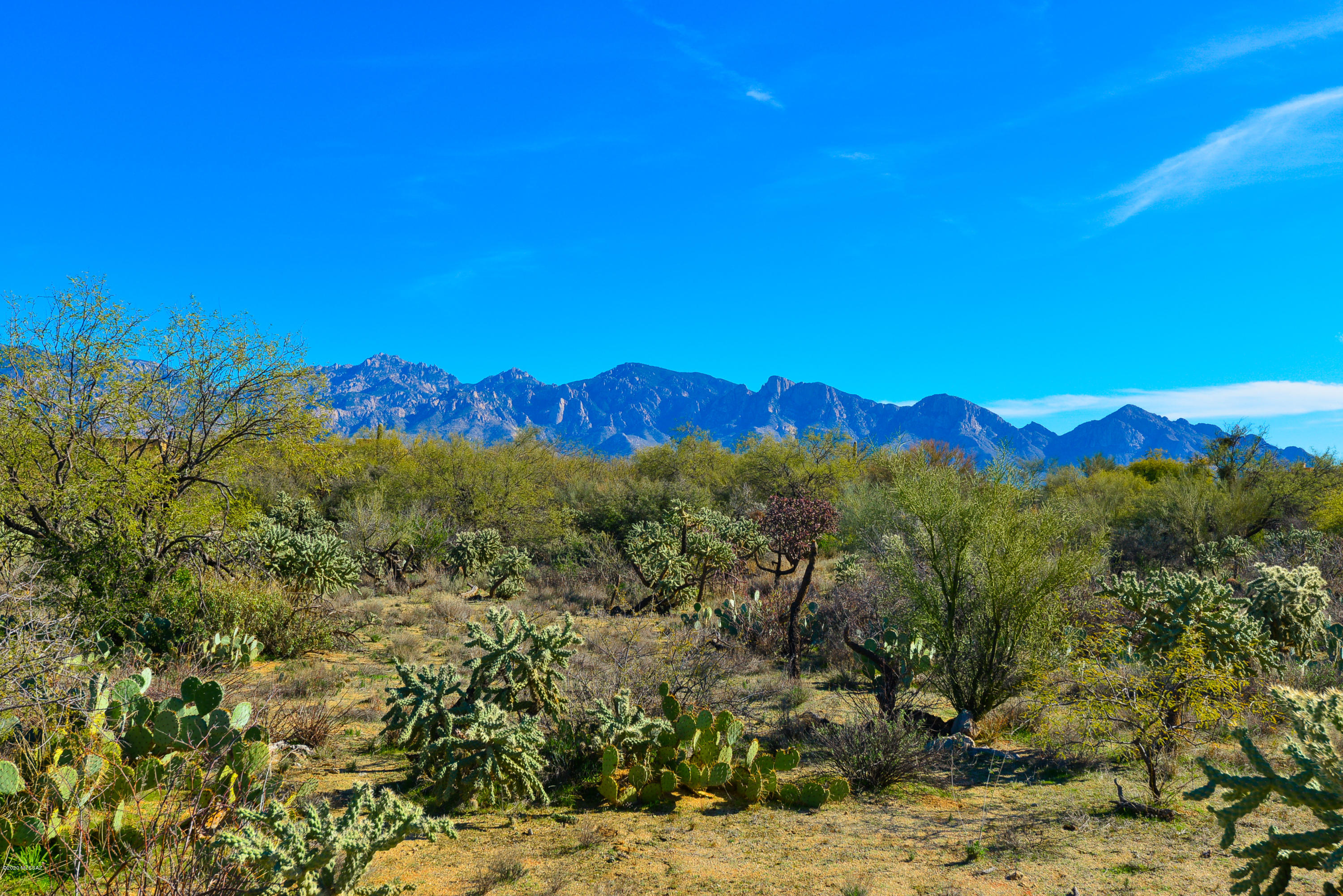 Stone Canyon I - Land