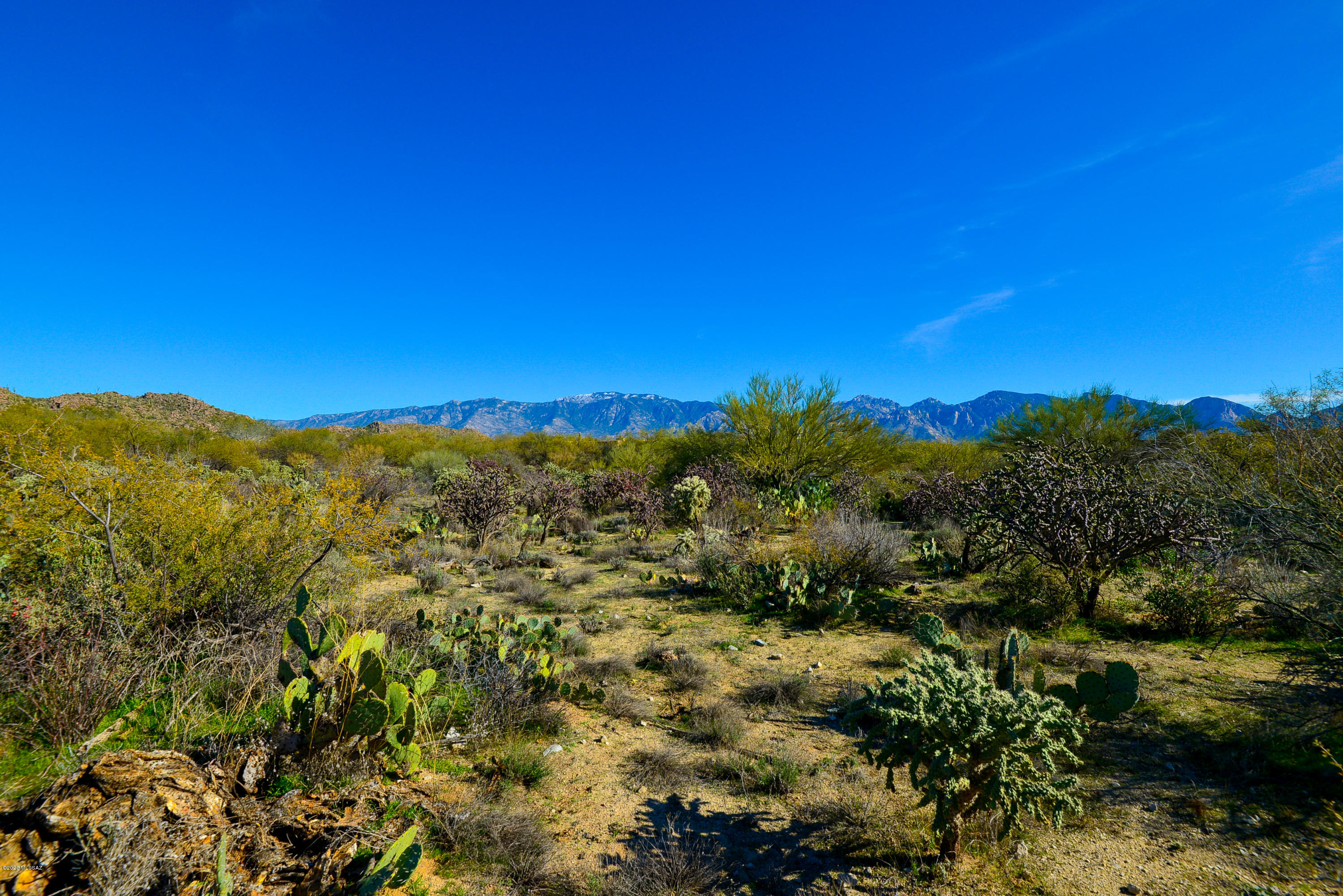 Stone Canyon I - Land