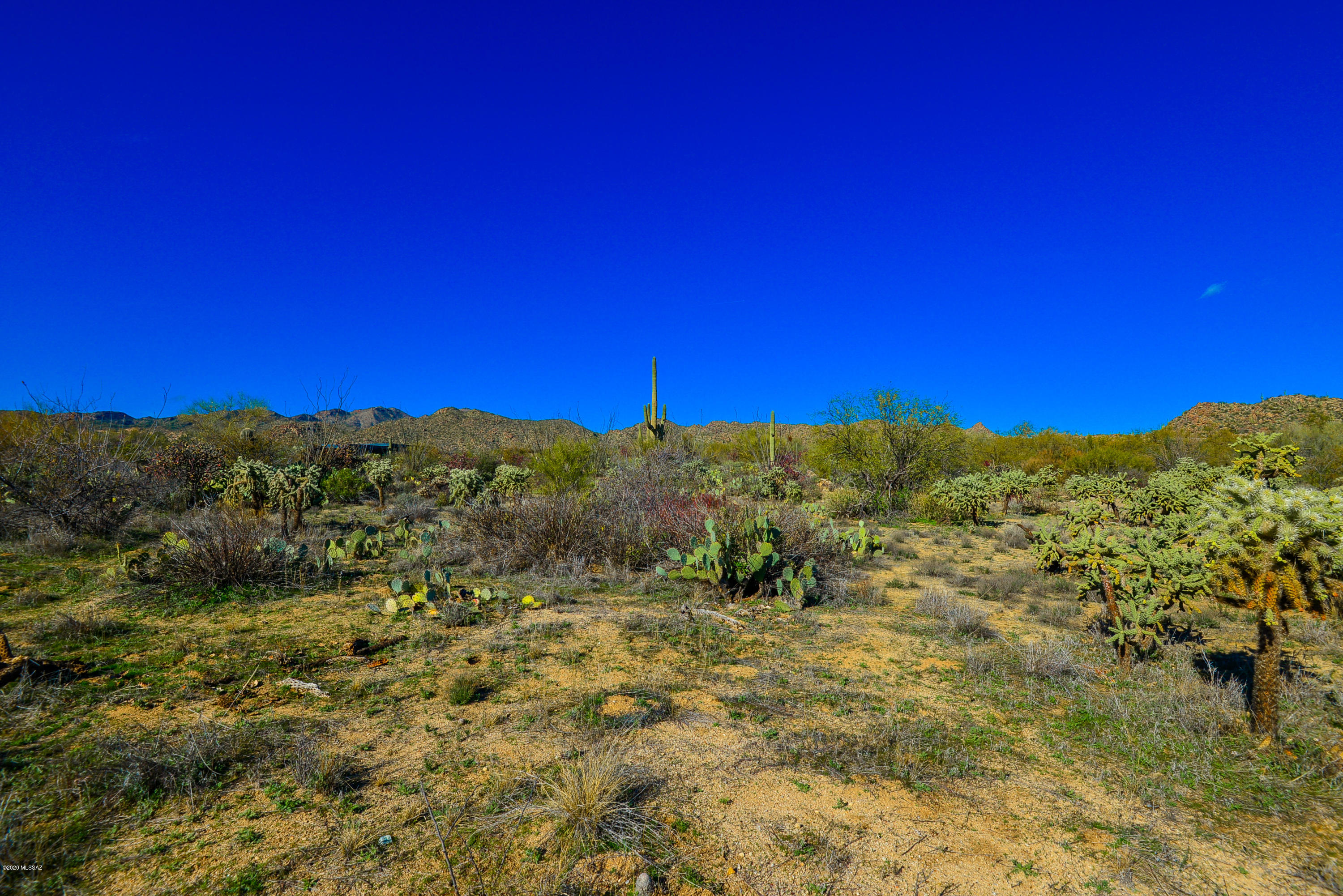 Stone Canyon I - Land
