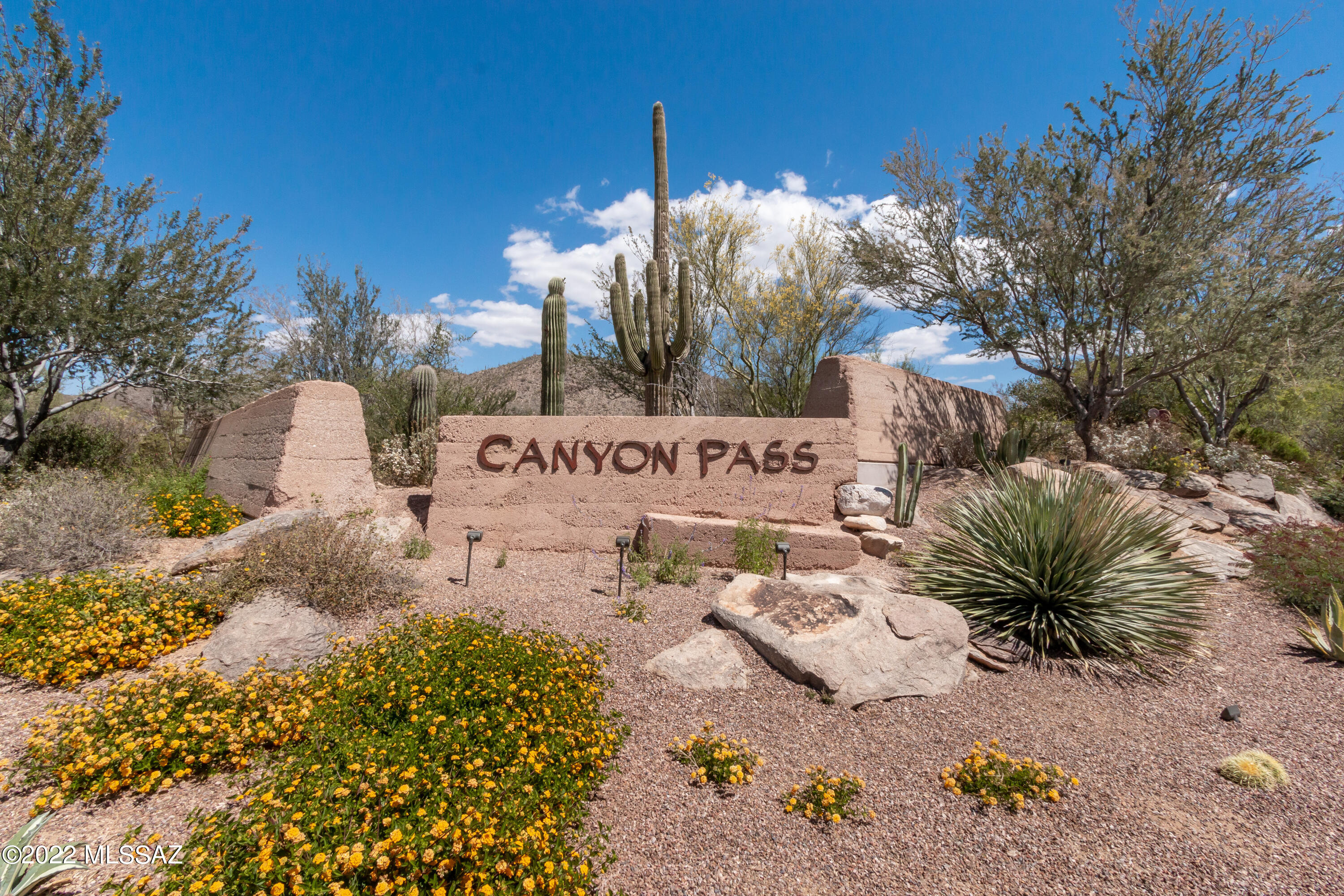 Canyon Pass At Dove Mountain - Residential