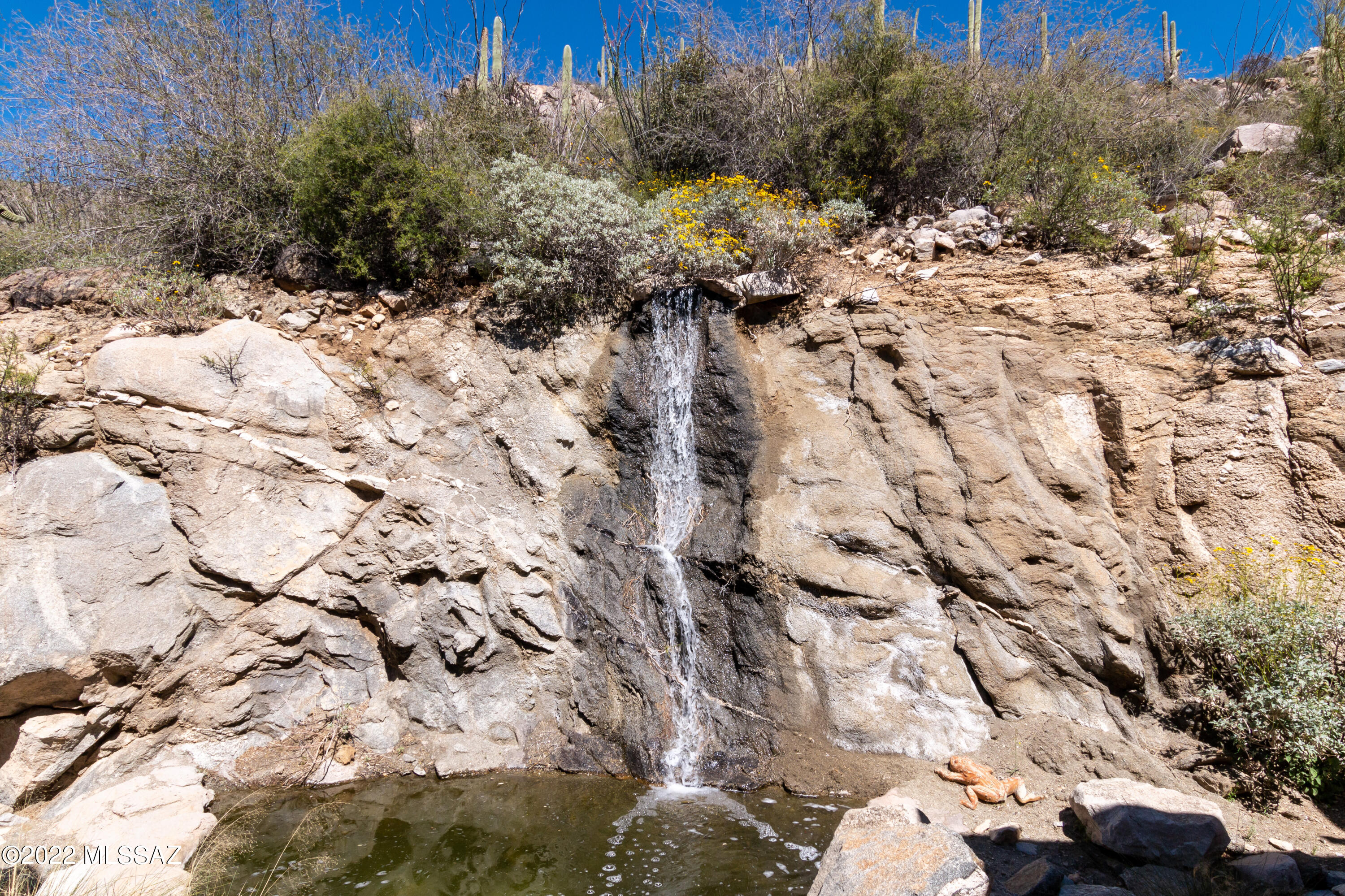 Canyon Pass At Dove Mountain - Residential