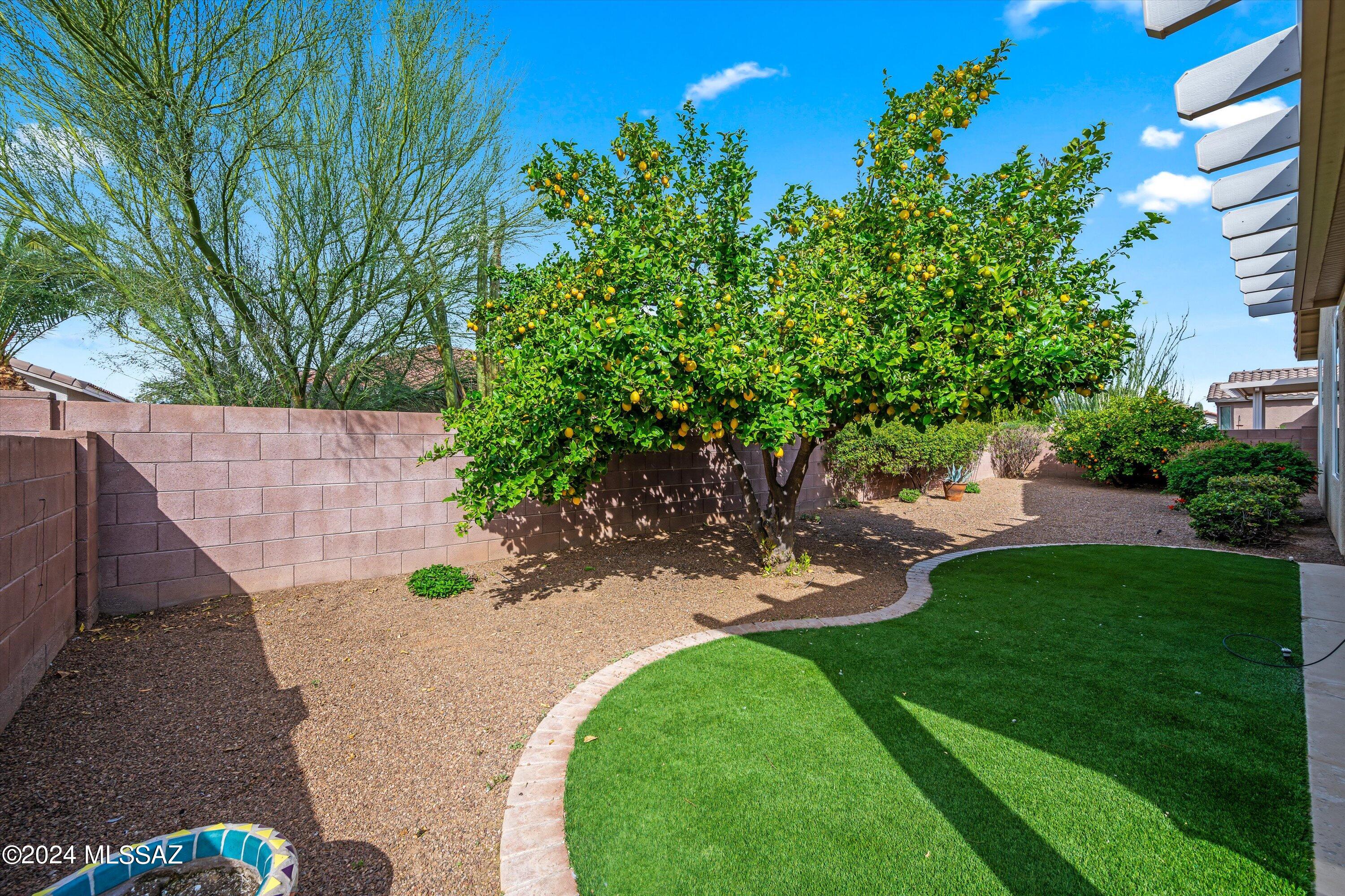 Continental Ranch Sunflower Phase VII (730-844) - Residential