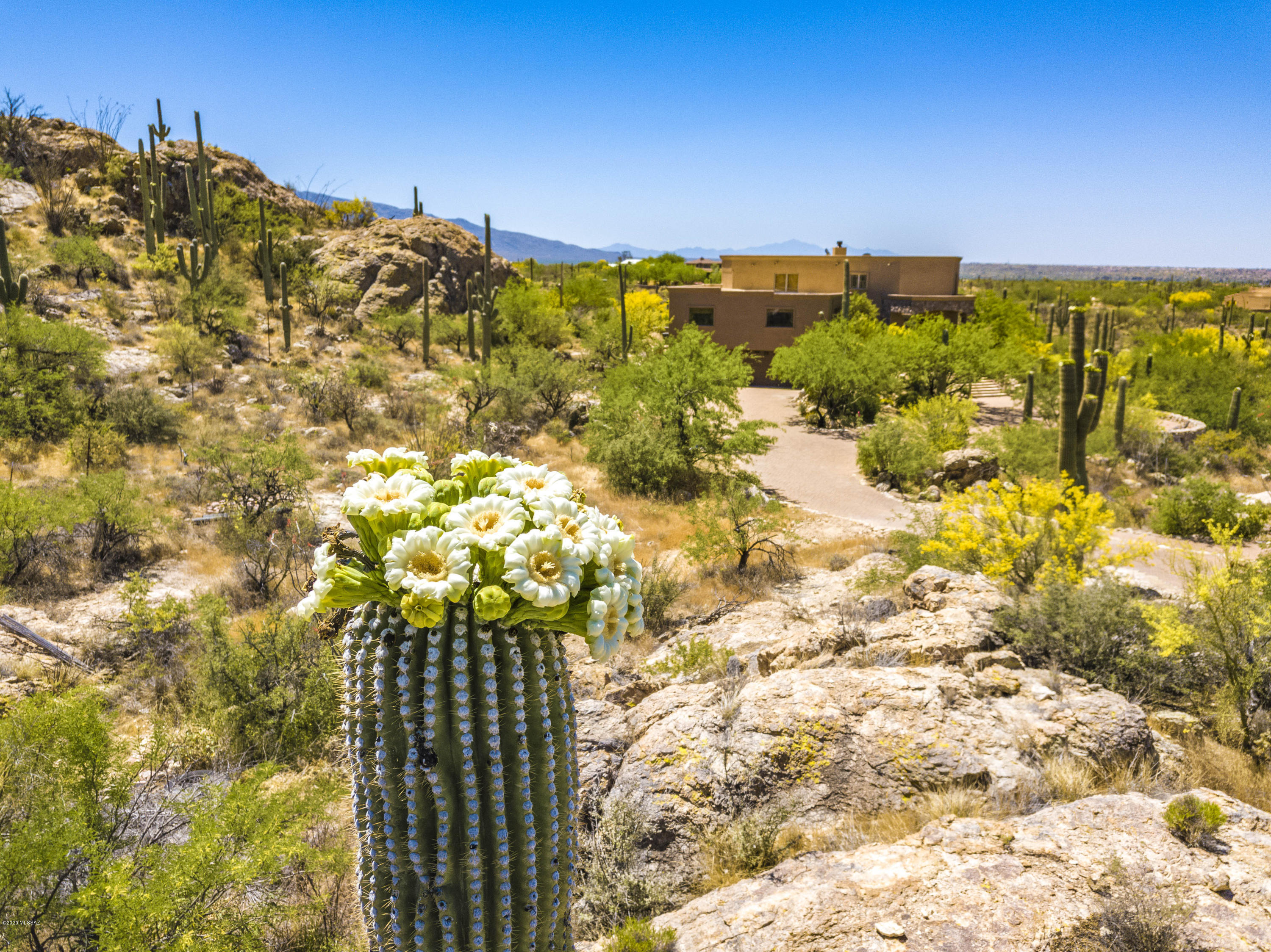 Caliente Canyons (1-7) - Residential