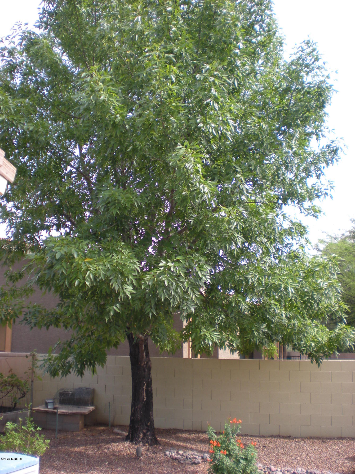 Mira Vista (1-60) - Residential