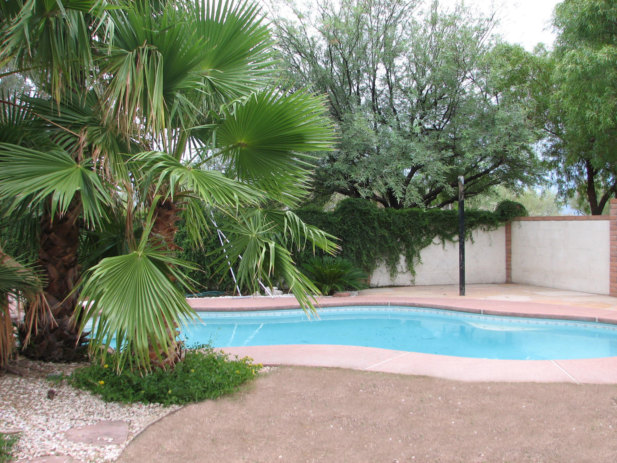 Unsubdivided - Residential Lease