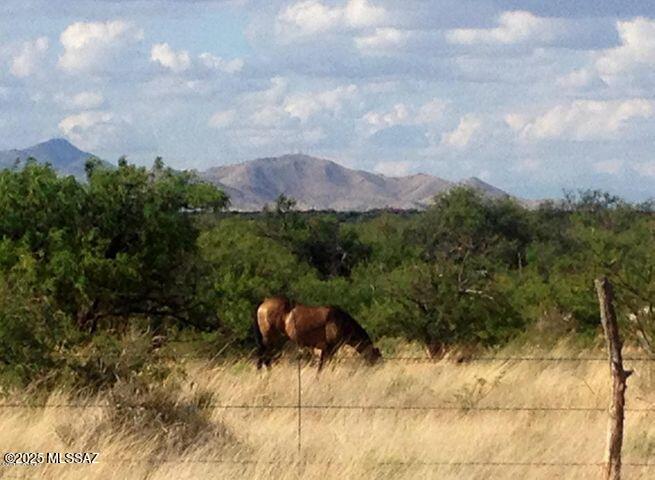 Dragoon Mountain Ranch - Land