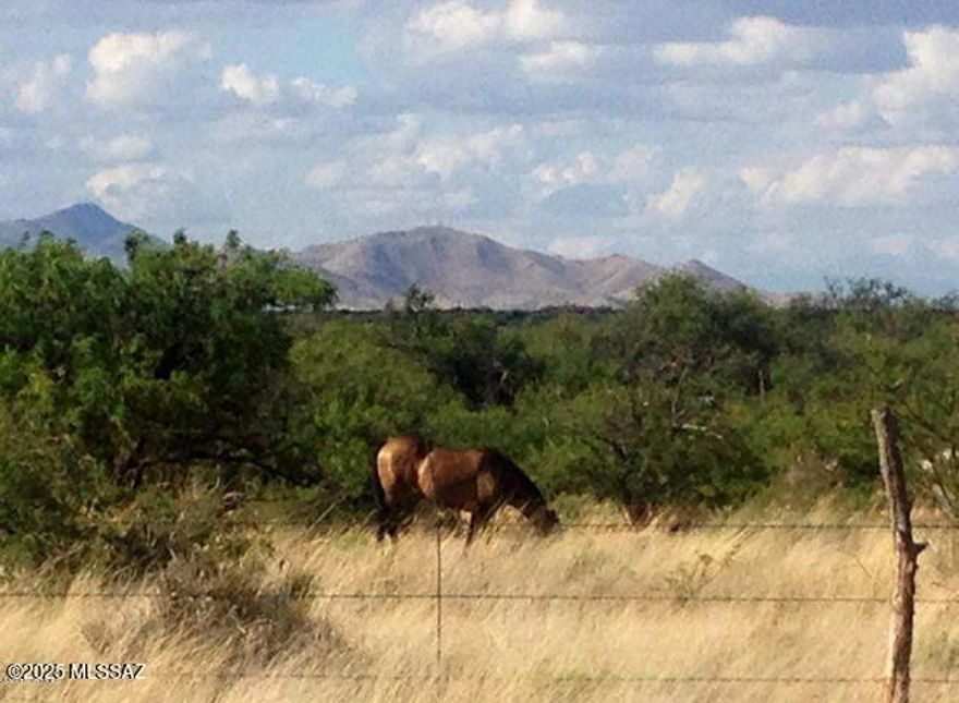 Discover the unparalleled opportunity to own 37.10 acres of pristine vacant land nestled in the picturesque and gated Dragoon Mountain Ranch. This expansive property is part of a stunning 12000 acre subdivision, situated at the foothills of the iconic Dragoon Mountains in Southeast Arizona's Cochise County. Experience the beauty of nature with access to National Forest and State Trust land, ideal for outdoor enthusiasts and nature lovers alike. With an elevation of over 4200 feet, the mild climate offers year-round comfort, making it perfect for those seeking a serene escape or a place to establish a ranch. Horses and livestock are welcome, allowing for an authentic rural lifestyle. Conveniently located near St. David, Benson, Tombstone, Sierra Vista, and Tucson.