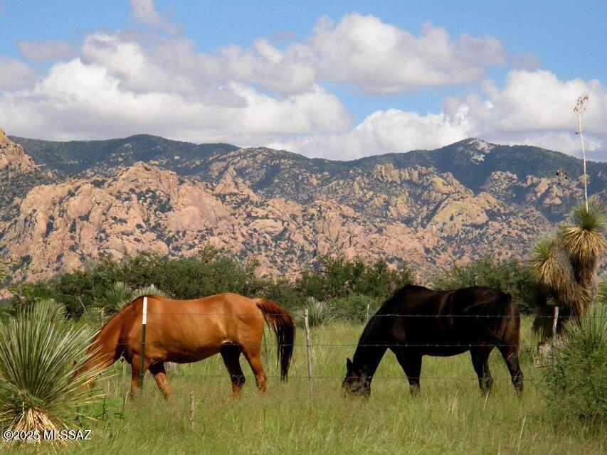 Dragoon Mountain Ranch - Land