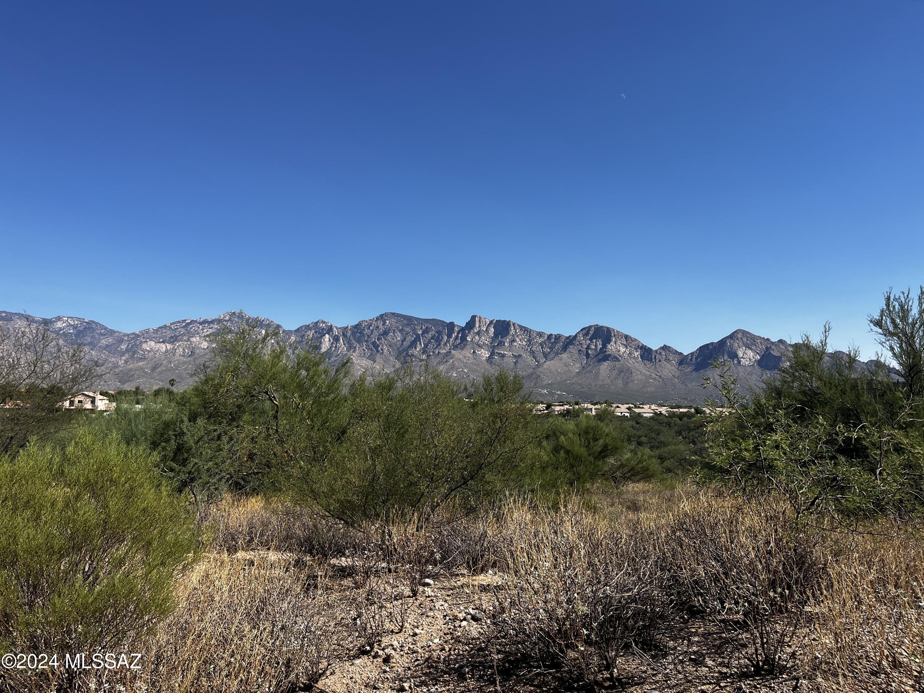 View Oro Valley, AZ 85755 house