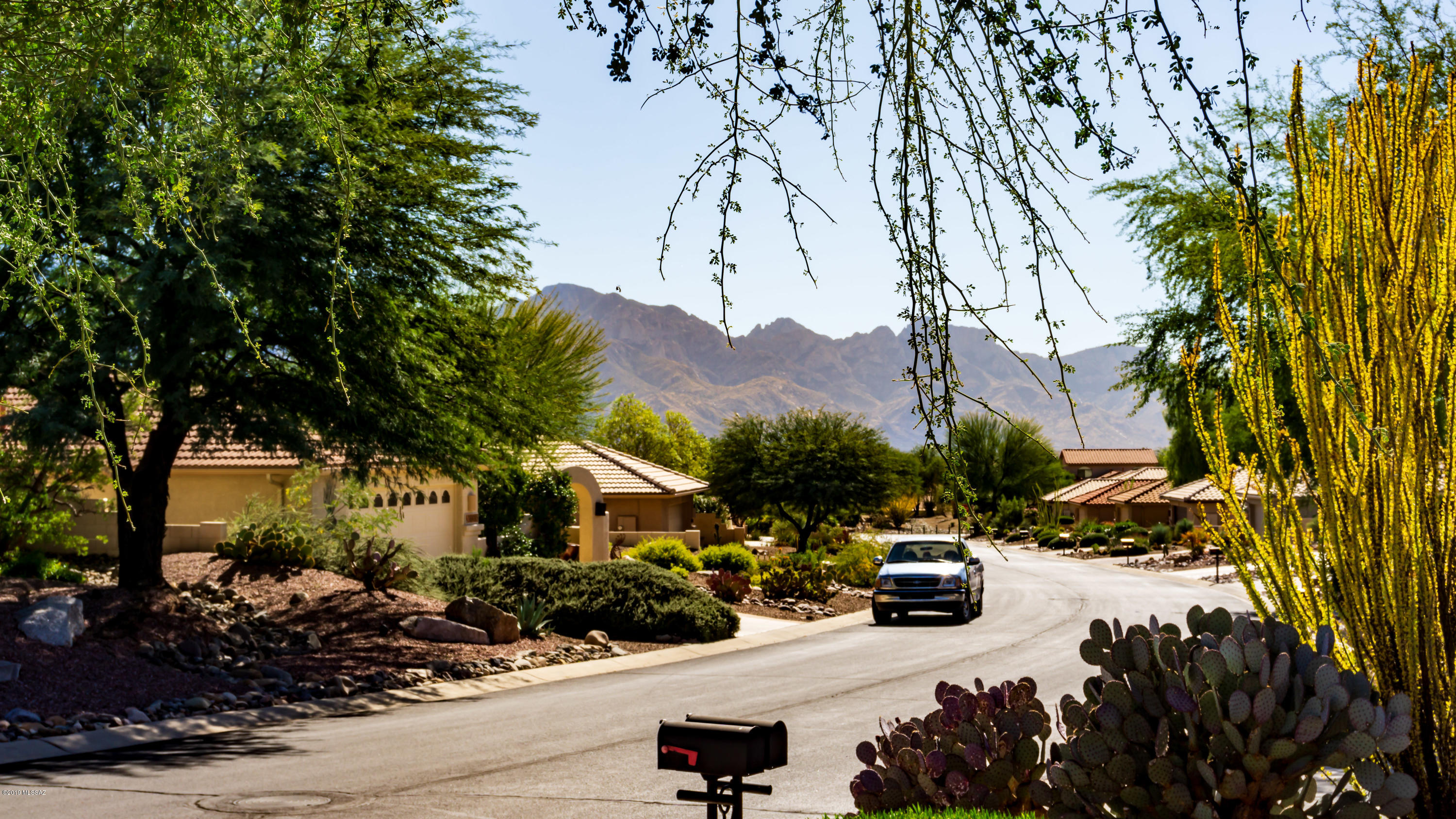 Saddlebrooke - Residential
