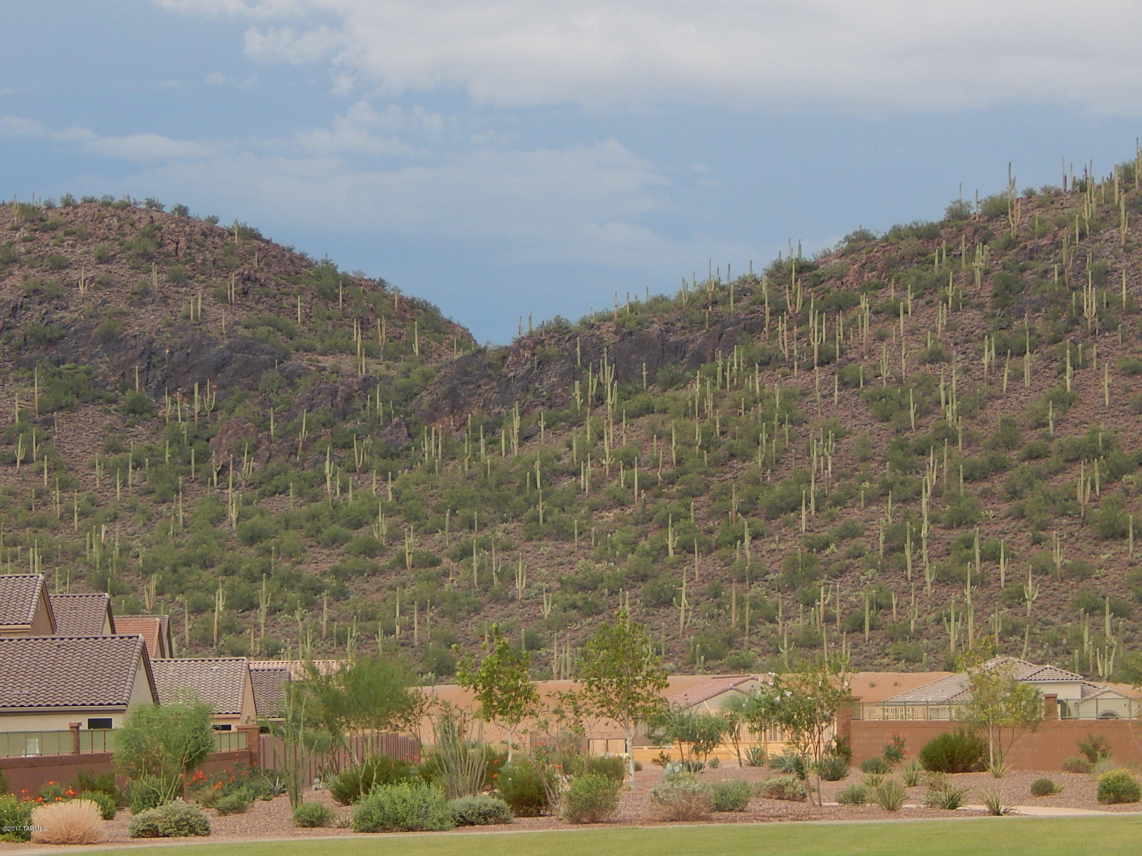 Saguaro Springs Block 8A (1-130) - Residential