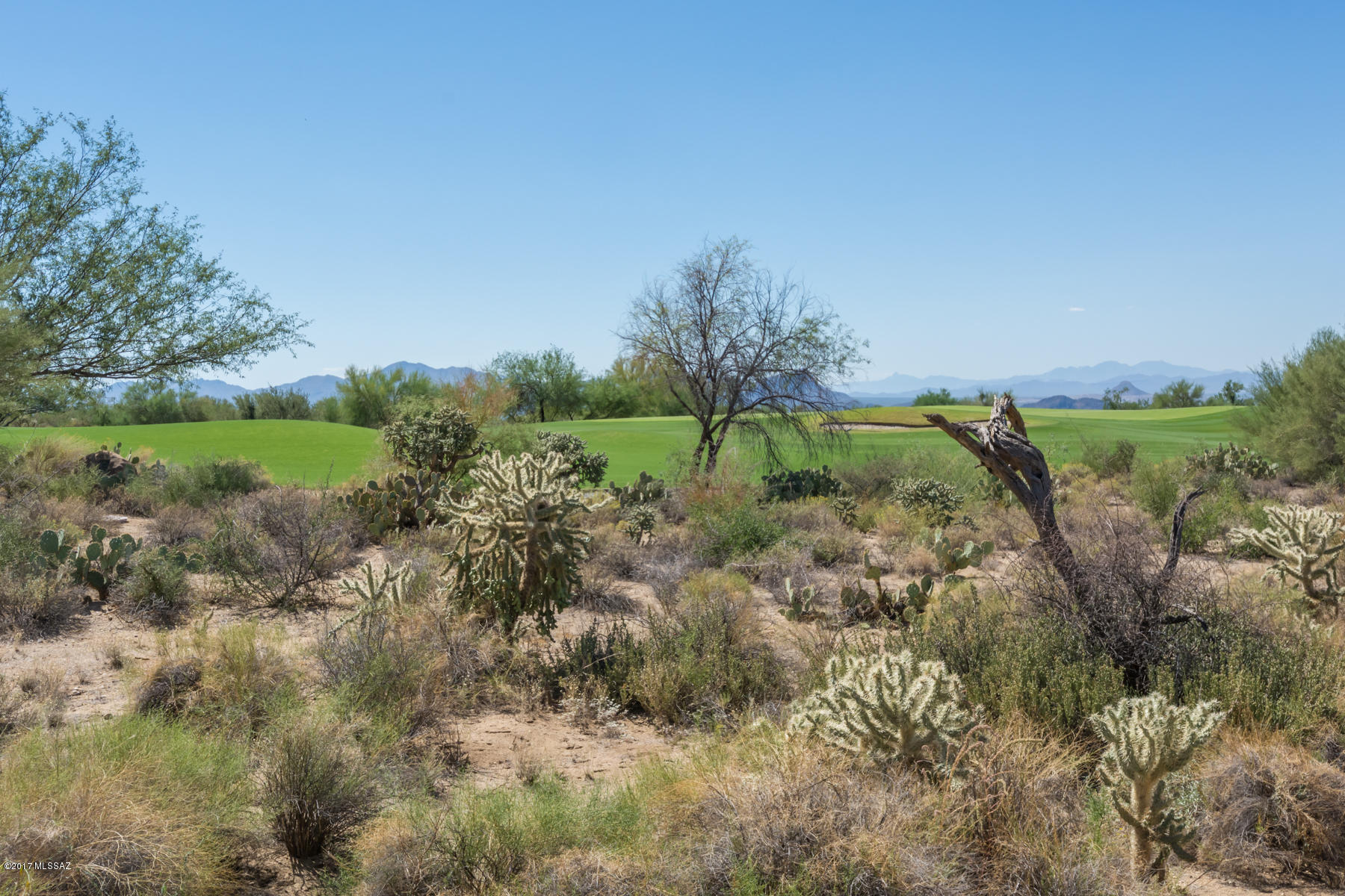 Dos Lagos at Dove Mountain (1-91) - Residential