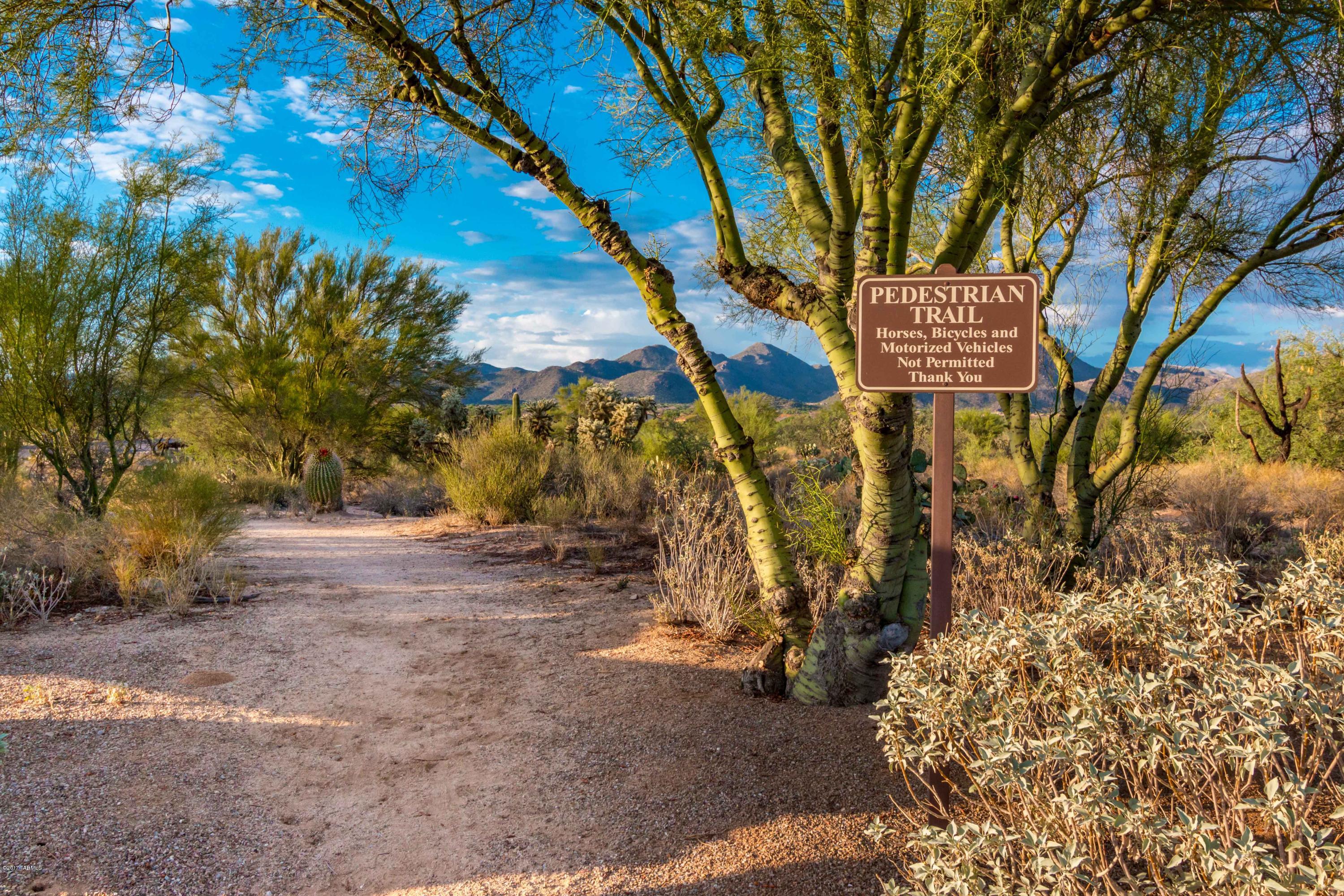 Preserve IV at Dove Mountain (487-529, 535-576, 606-650) - Residential