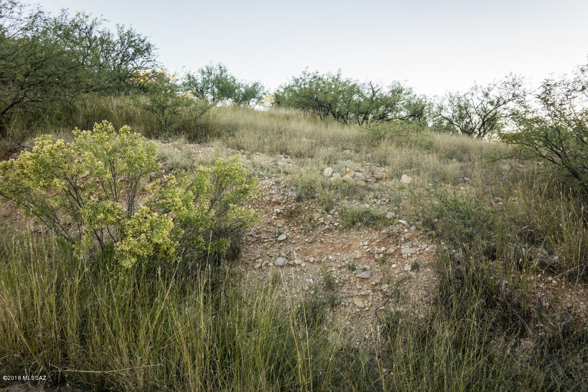 Rio Rico Estates 6 - Land