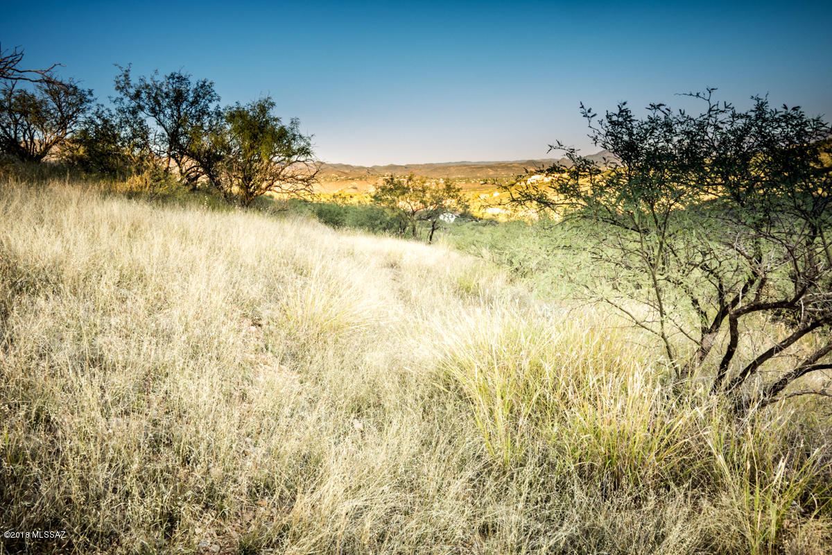 Rio Rico Estates 6 - Land