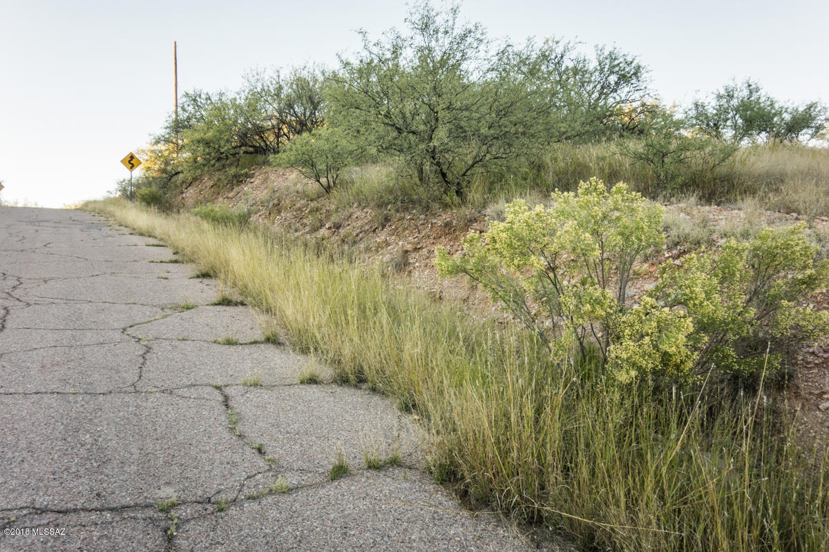 Rio Rico Estates 6 - Land