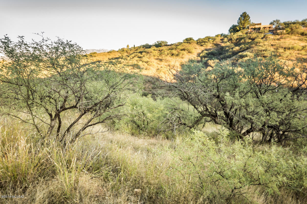 Rio Rico Estates 6 - Land