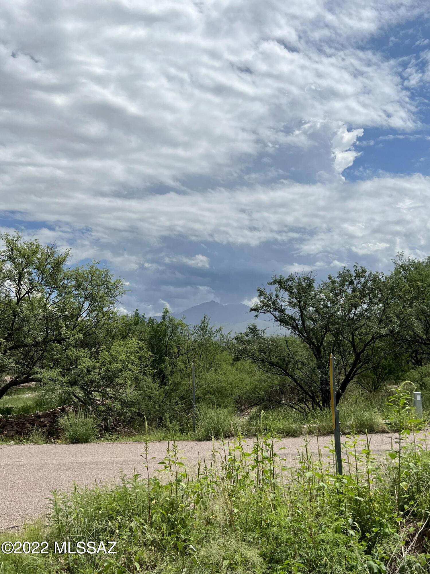 Palo Parado Estates - Land