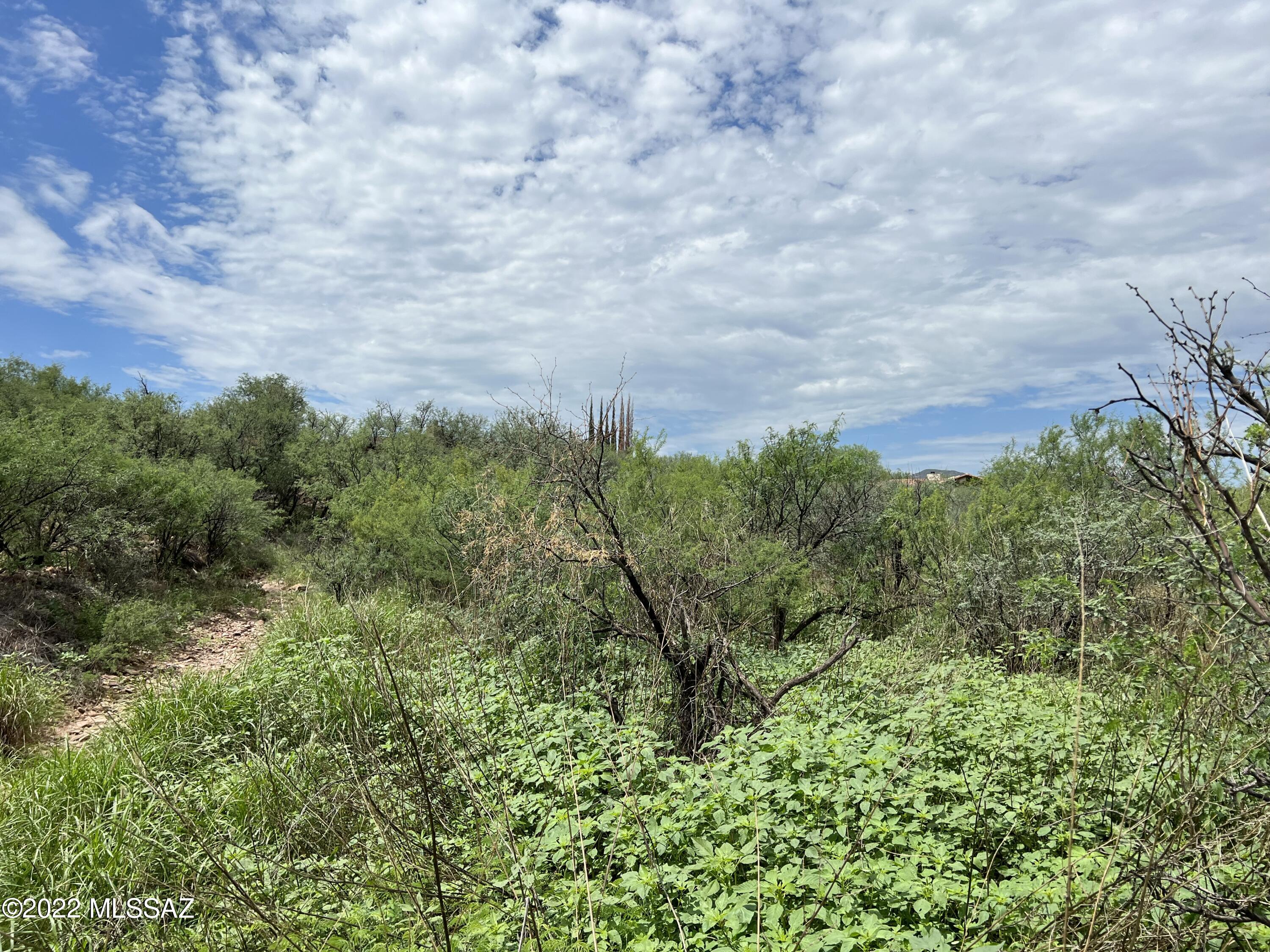 Palo Parado Estates - Land