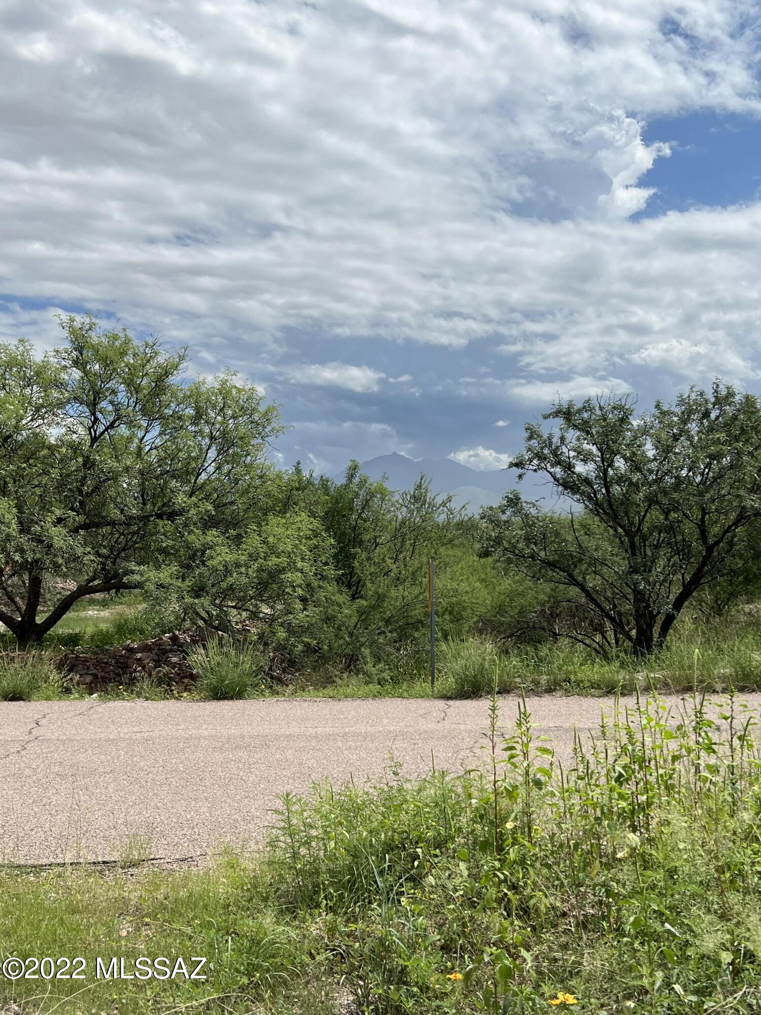 Palo Parado Estates - Land