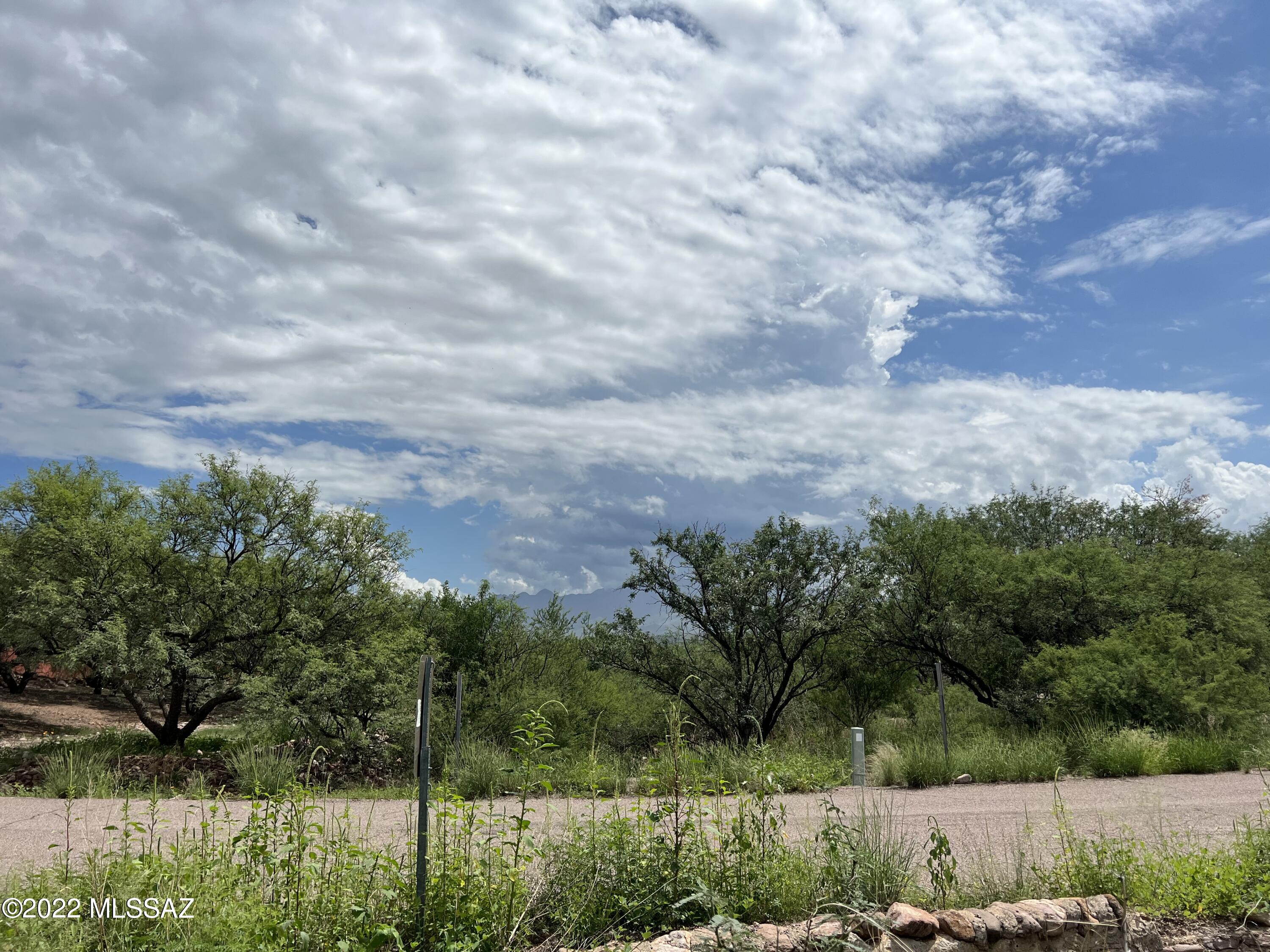 Palo Parado Estates - Land