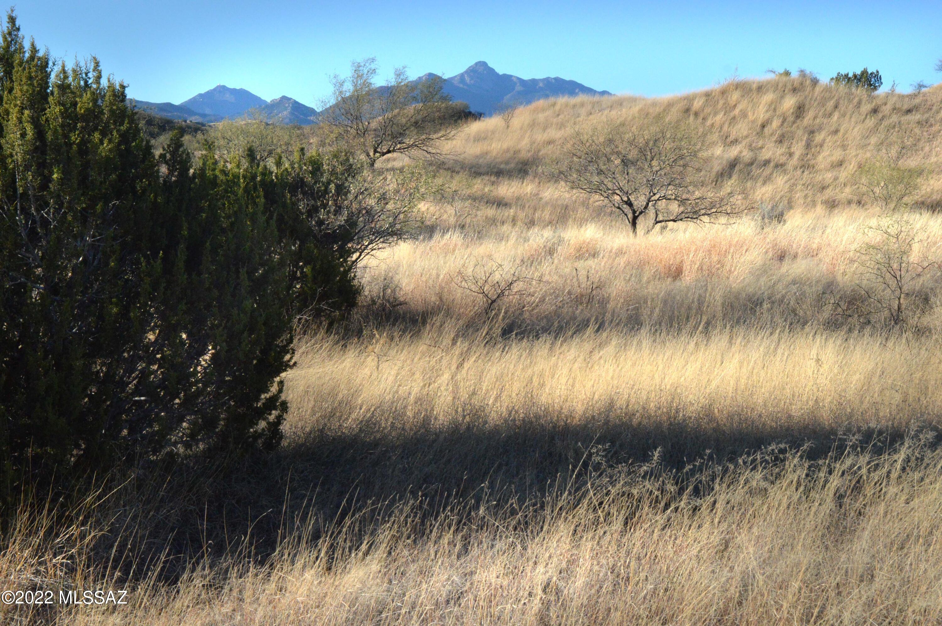 Three Canyons - Land