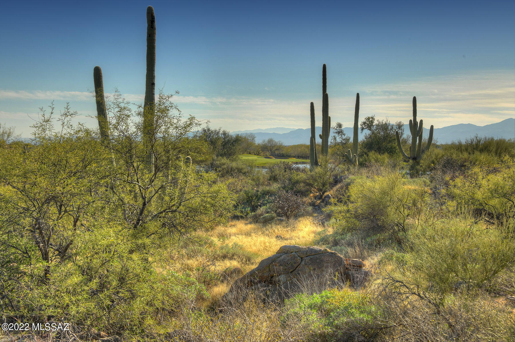 14451 N Giant Saguaro Place 32