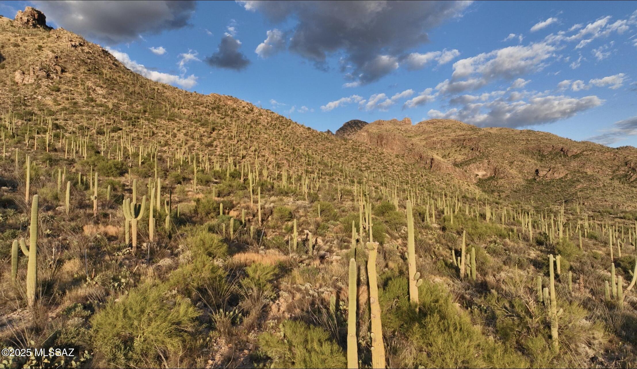 Pima Canyon Estates (298-308) - Residential