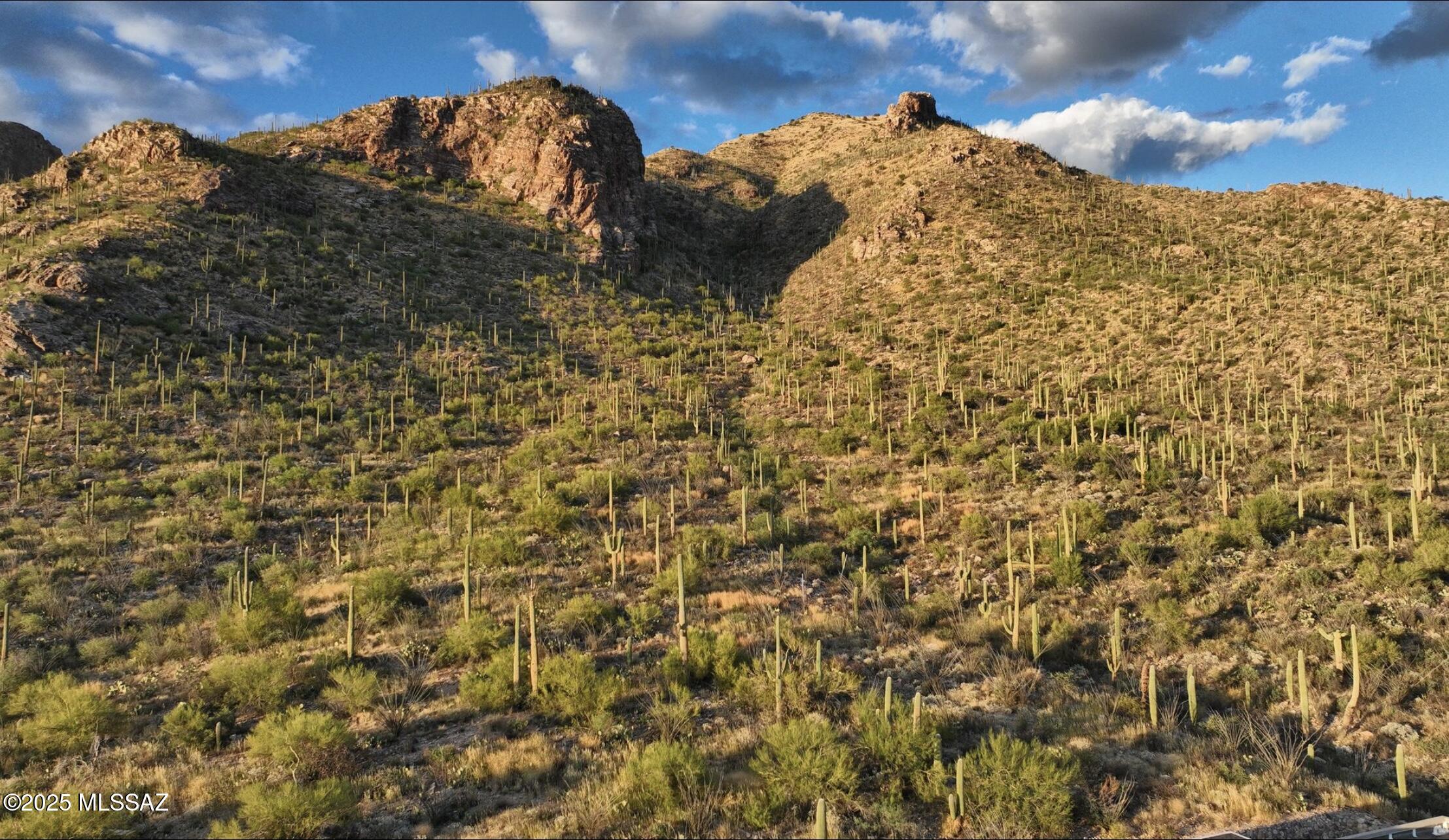 Pima Canyon Estates (298-308) - Residential