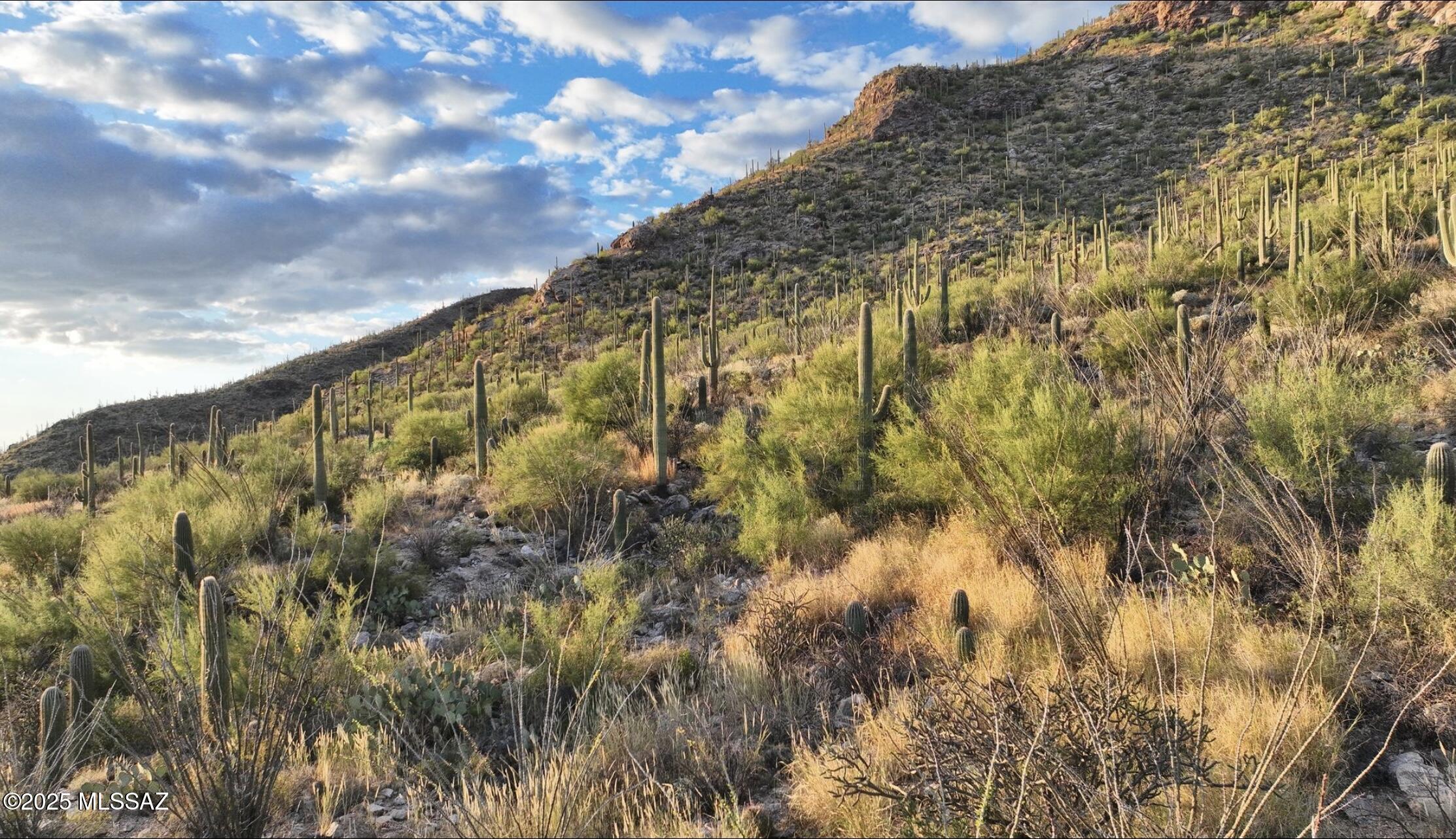 Pima Canyon Estates (298-308) - Residential