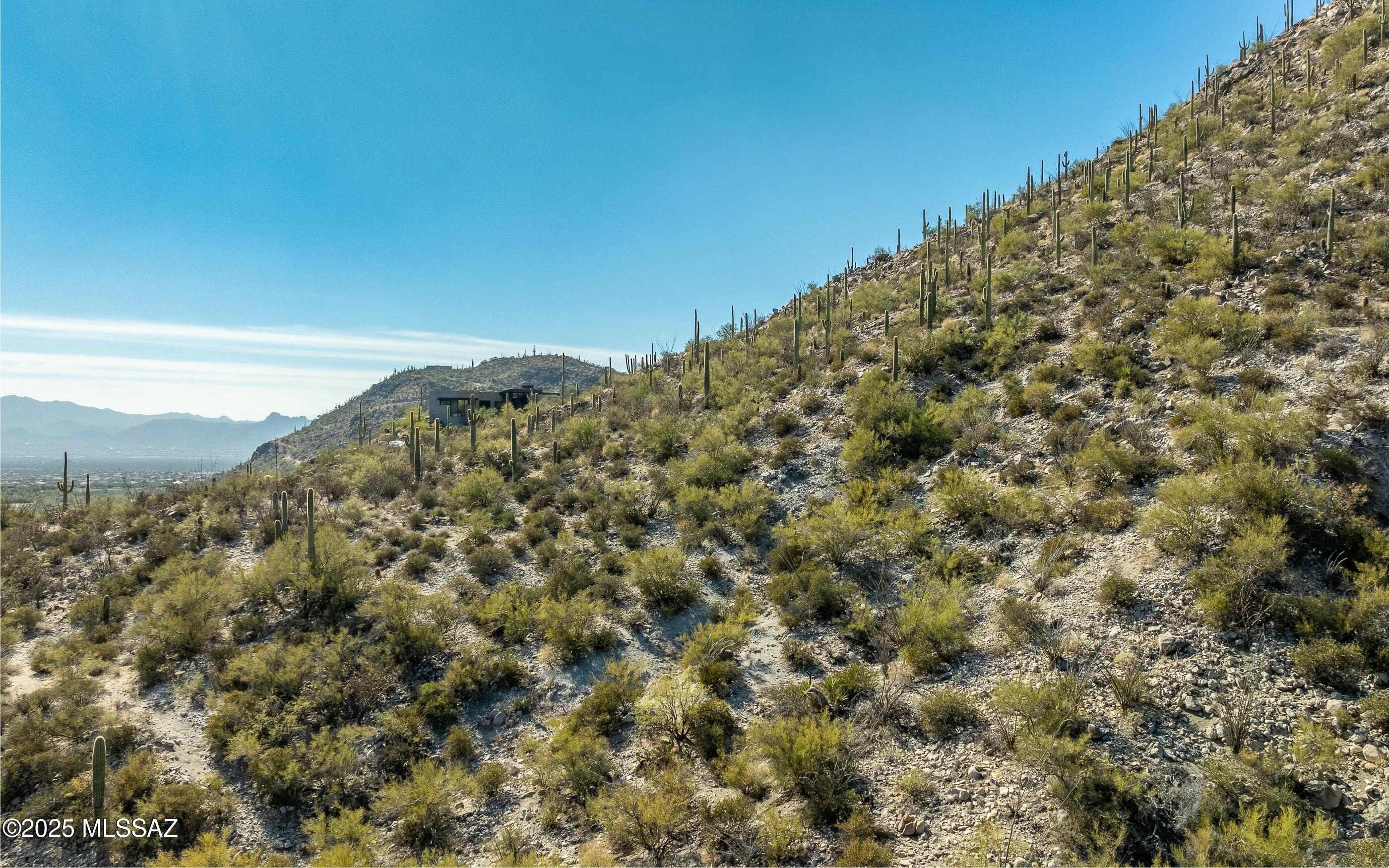 Canyon Pass At Dove Mountain - Land