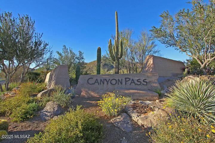 Canyon Pass At Dove Mountain - Land