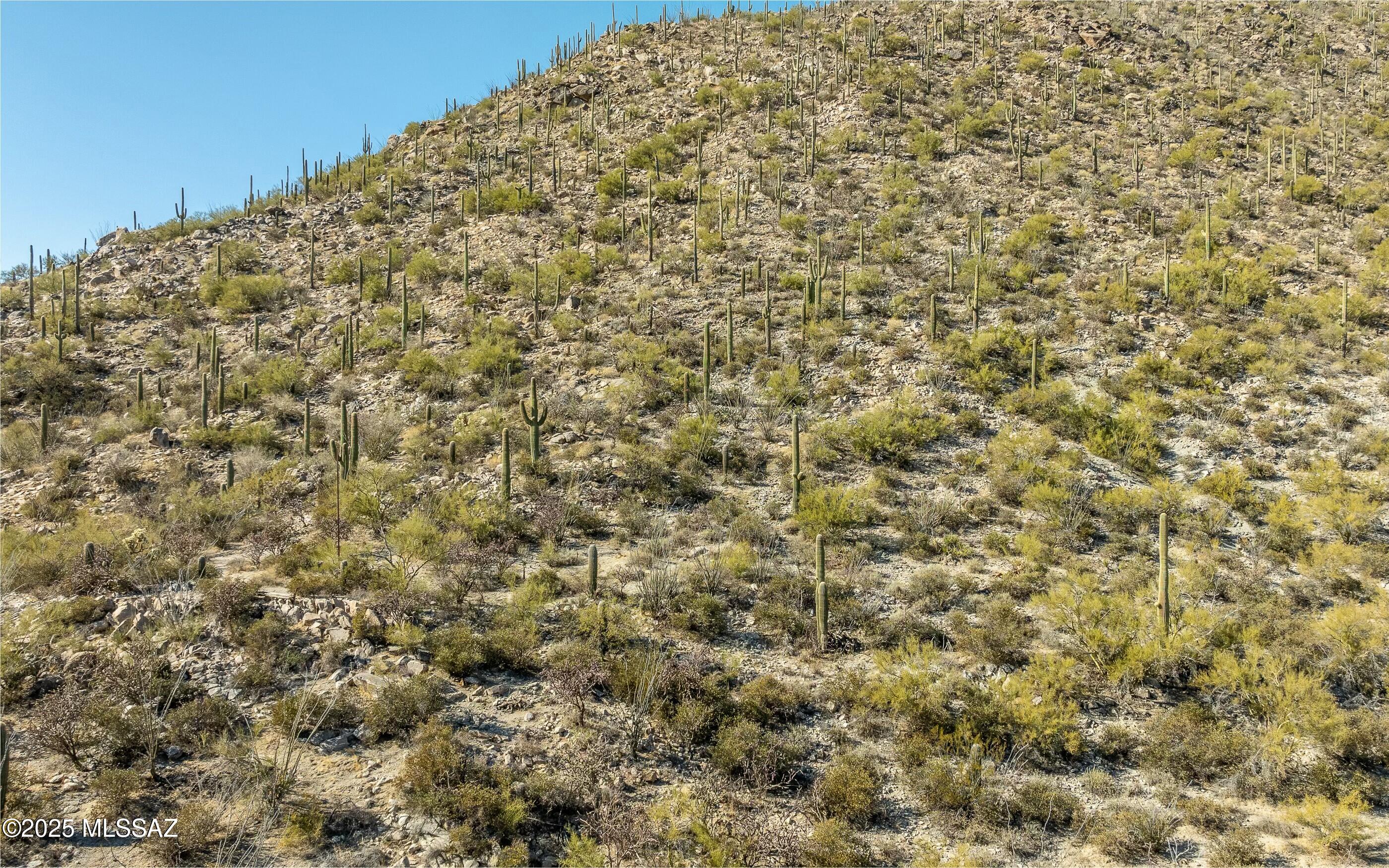 Canyon Pass At Dove Mountain - Land