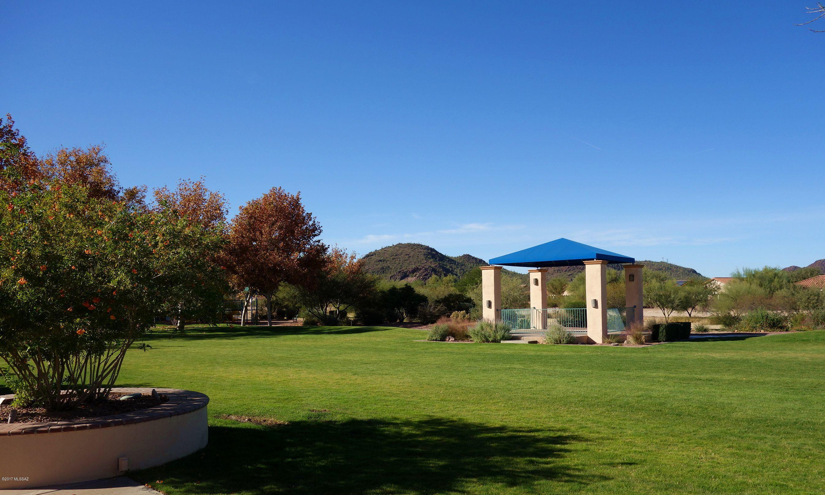 Continental Ranch Sunflower - Residential
