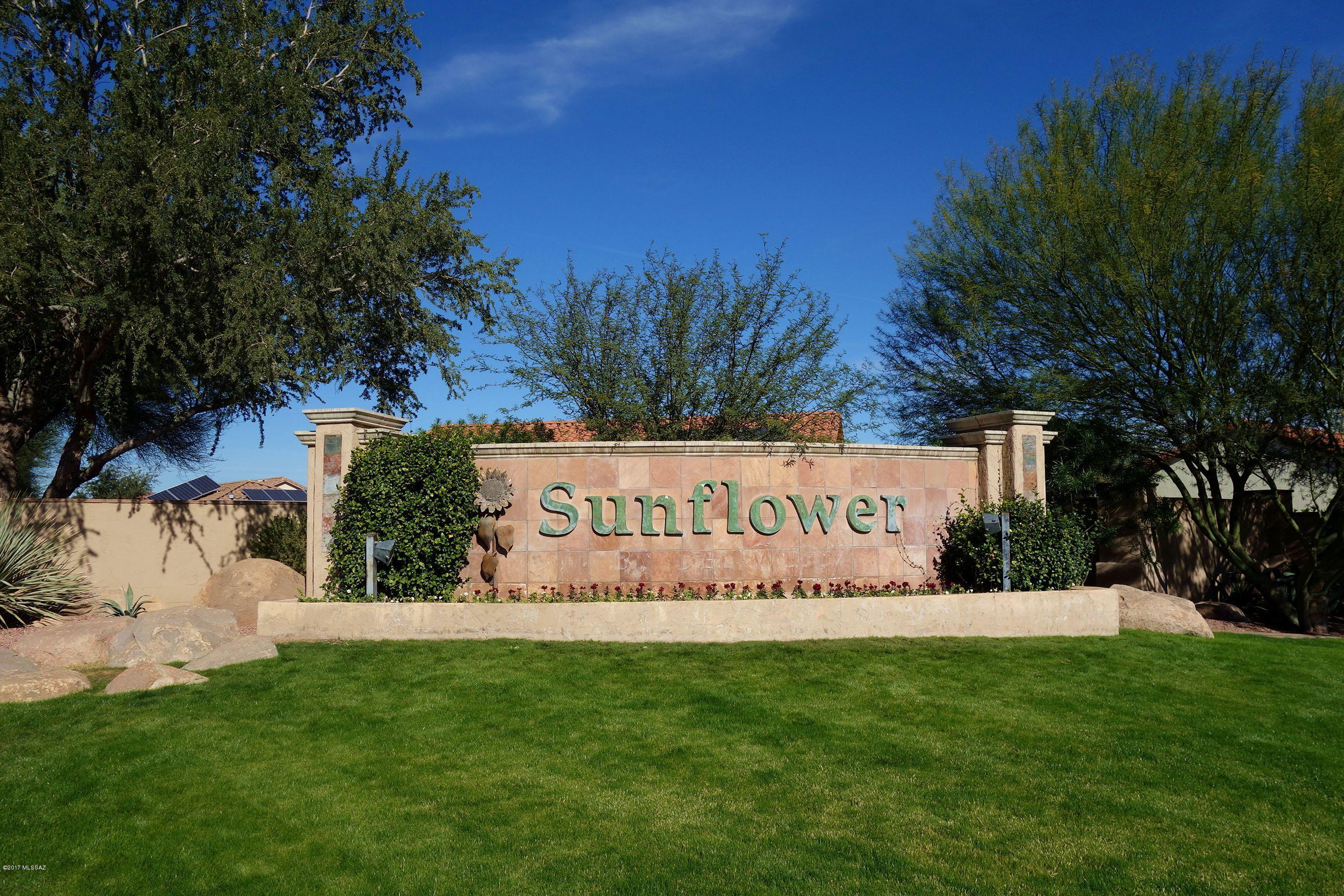 Continental Ranch Sunflower - Residential